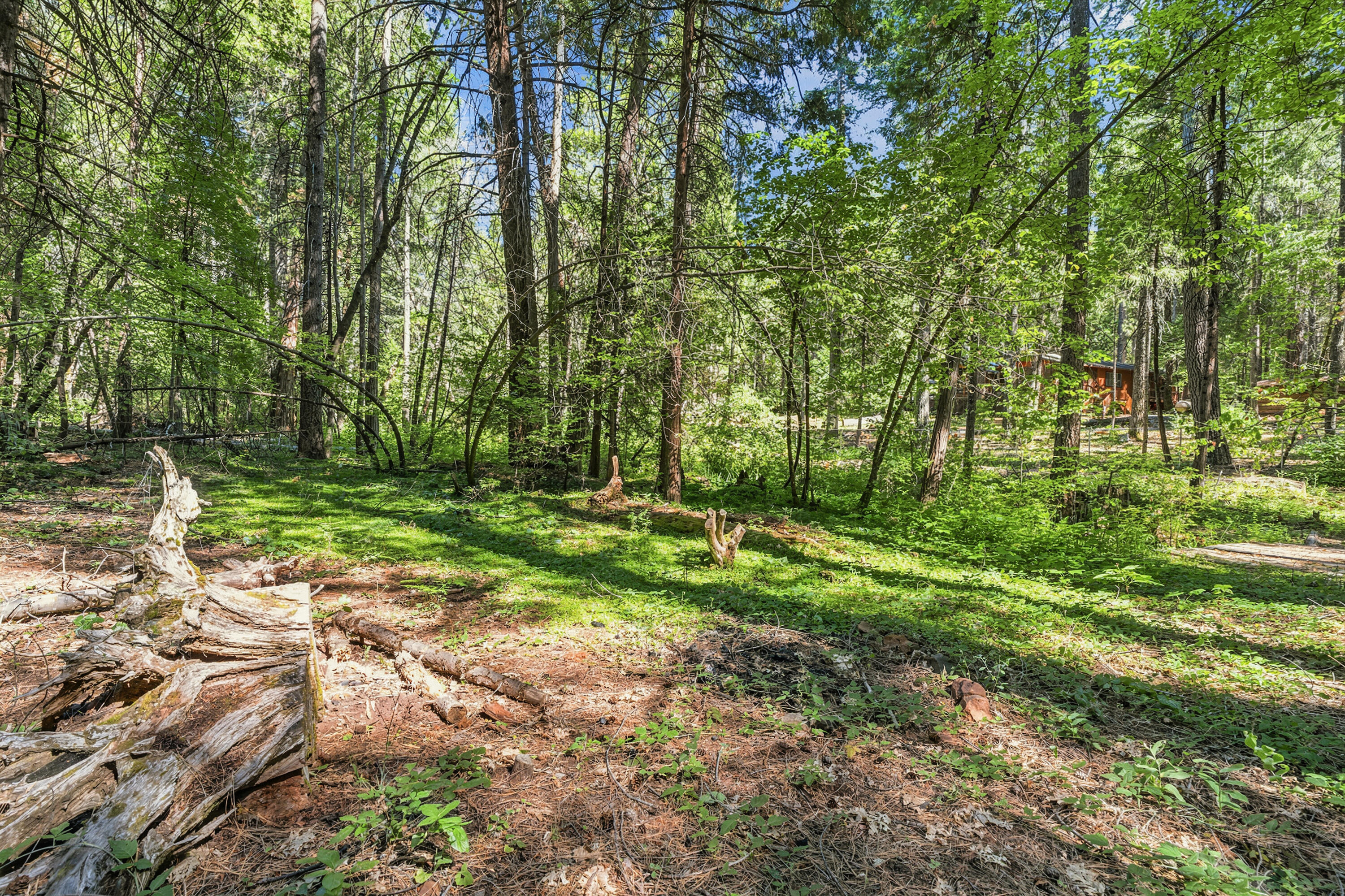 main property photo 52