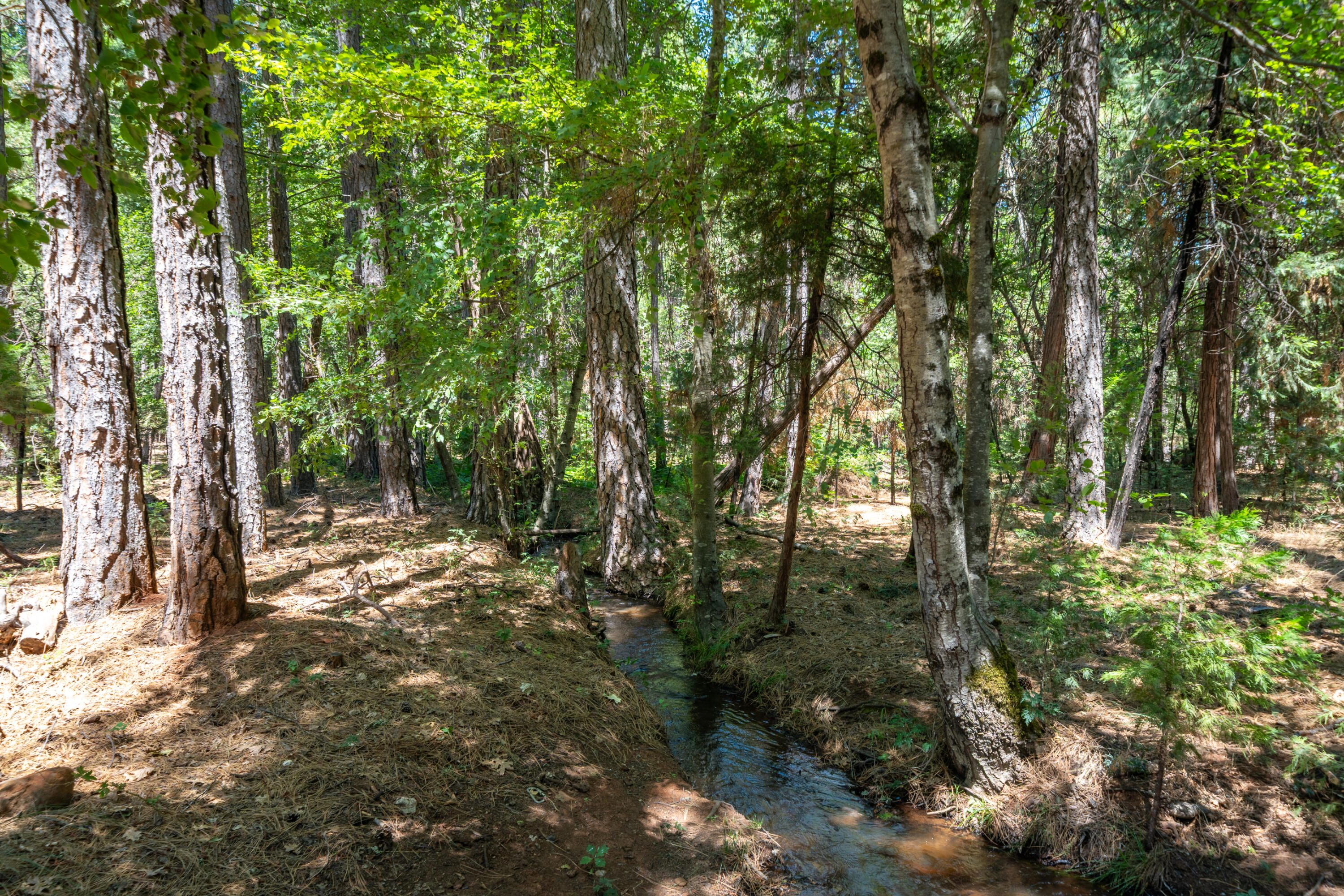main property photo 66
