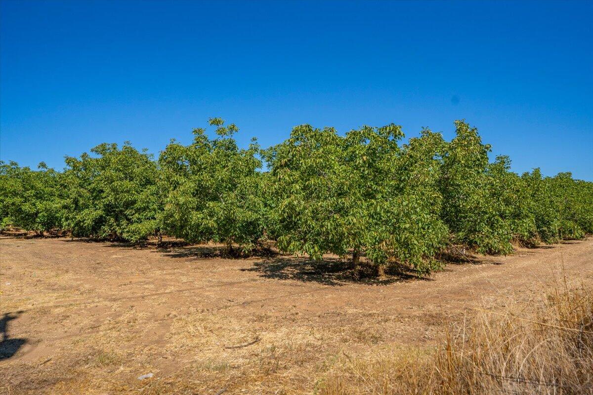 main property photo 84