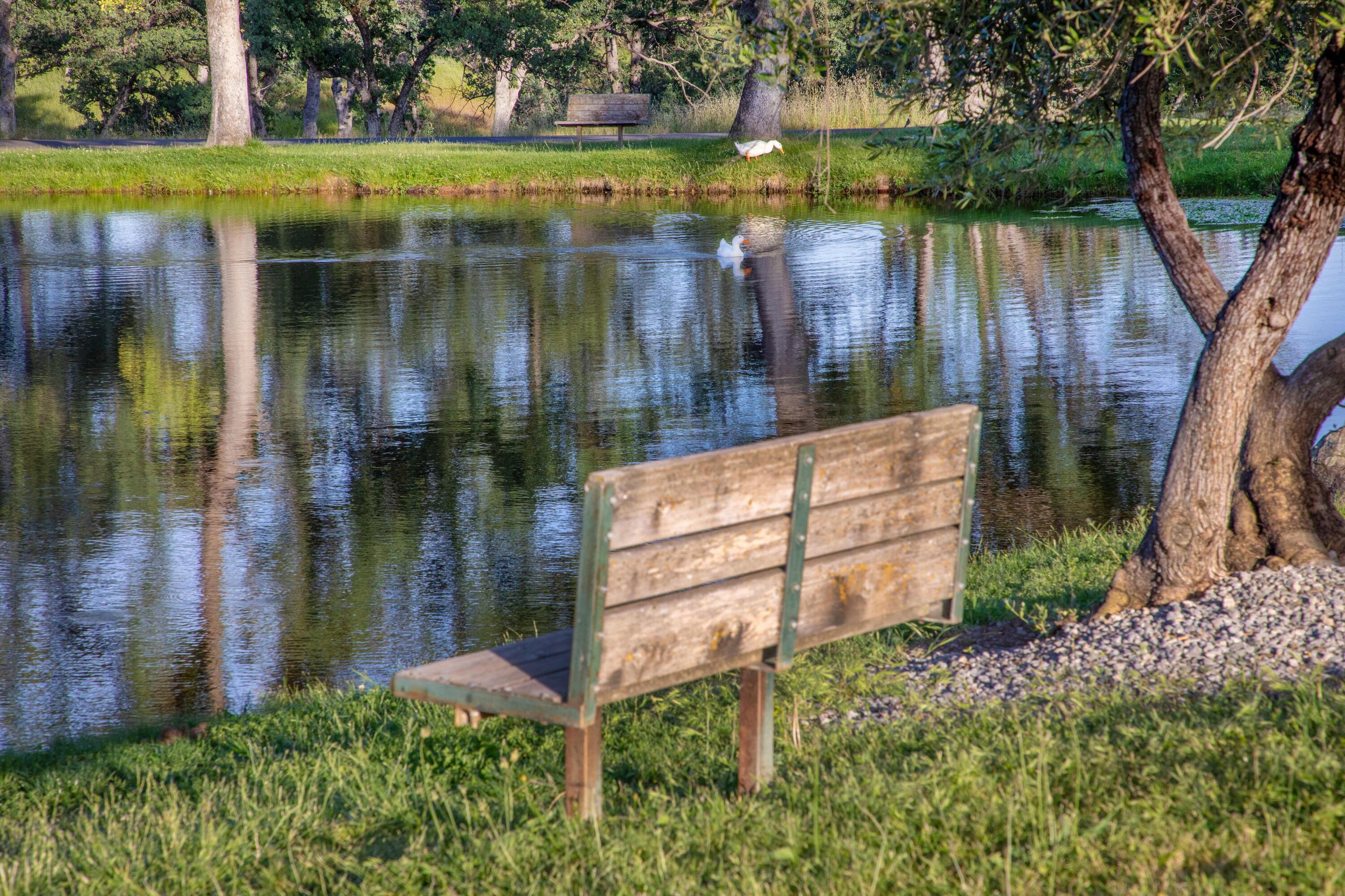 main property photo 77