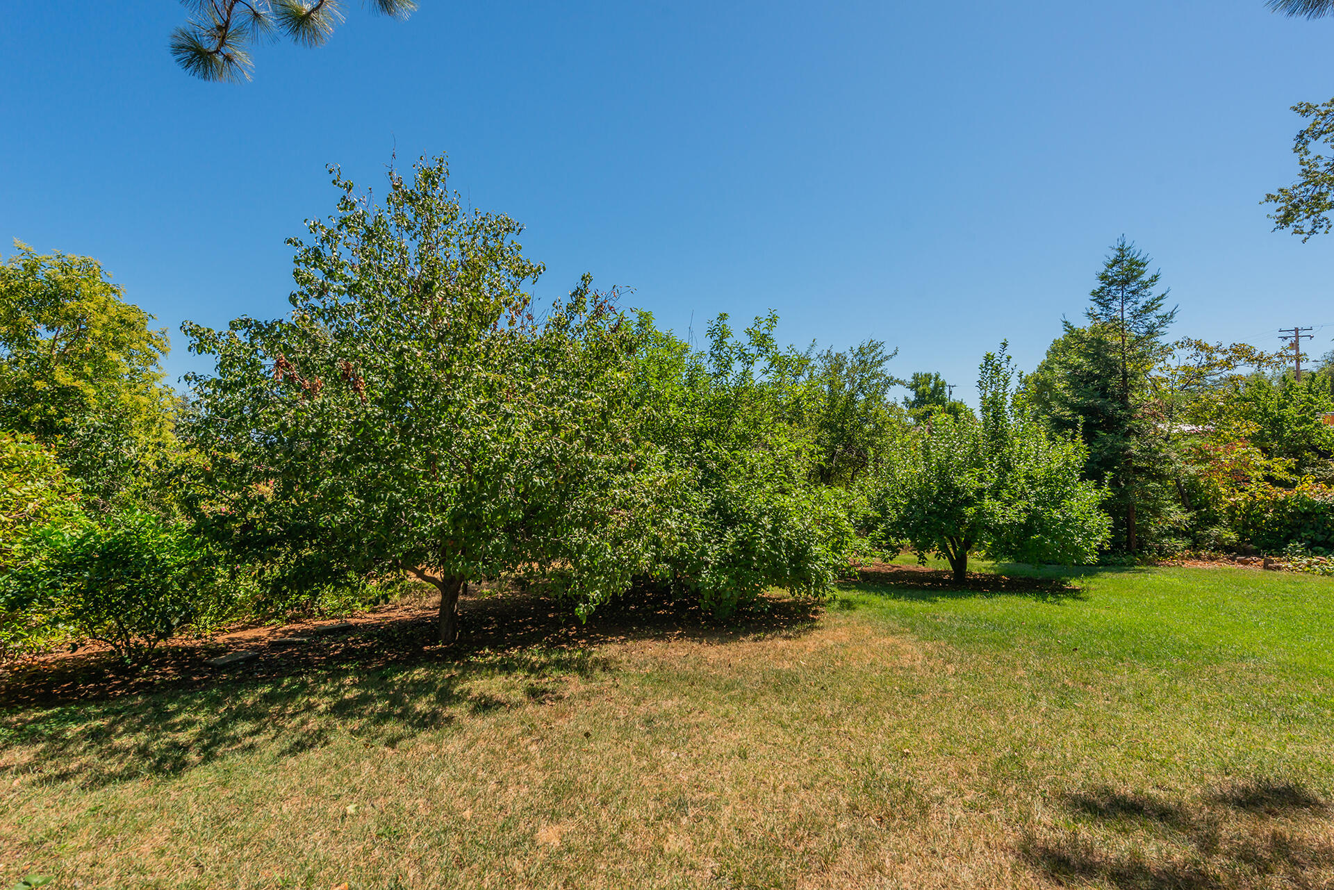 main property photo 66