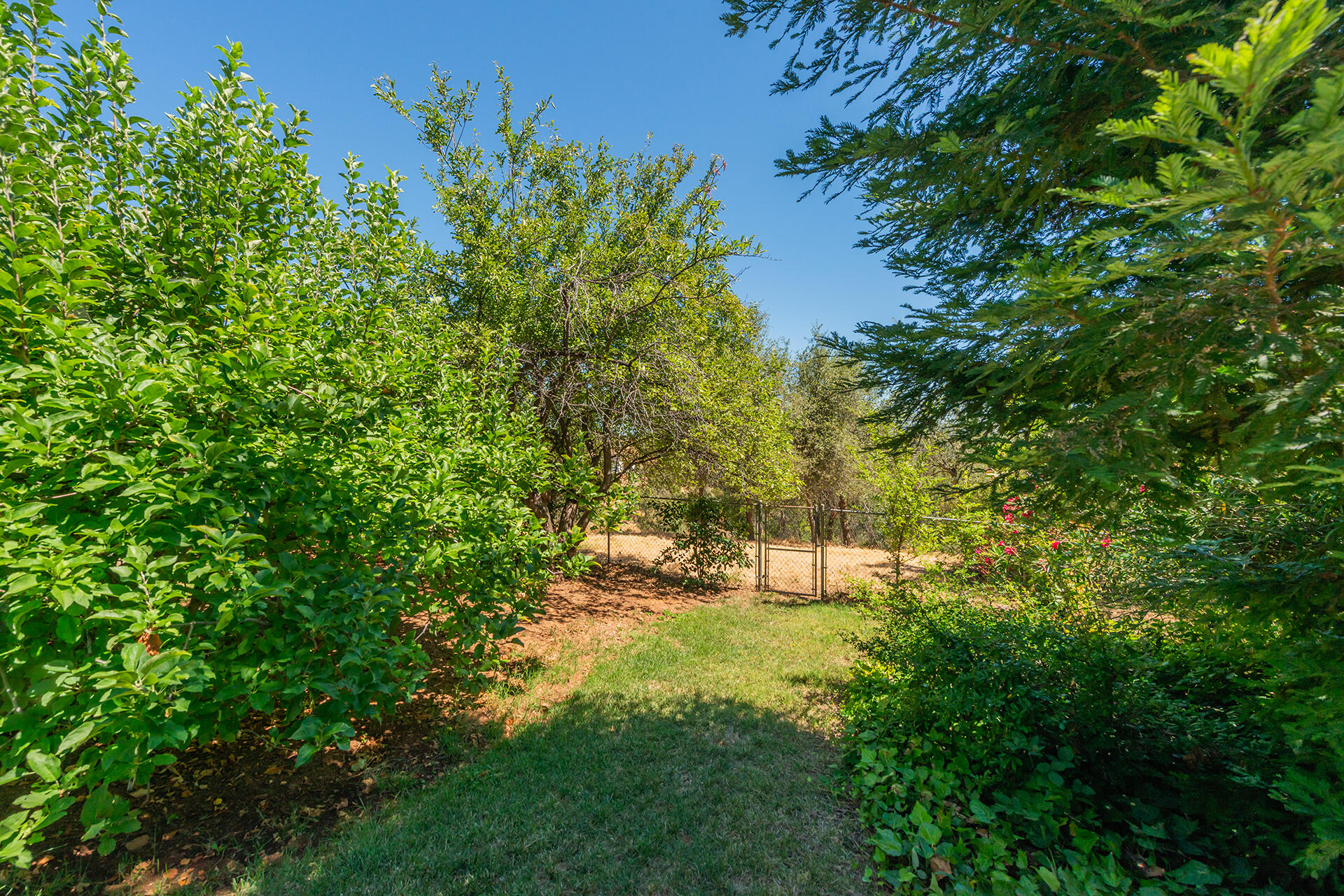main property photo 67
