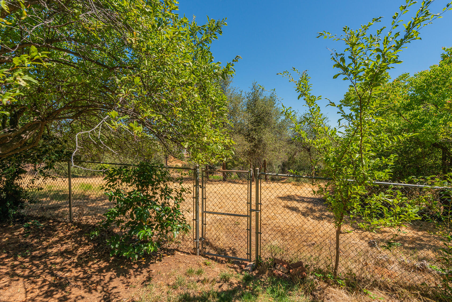 main property photo 68