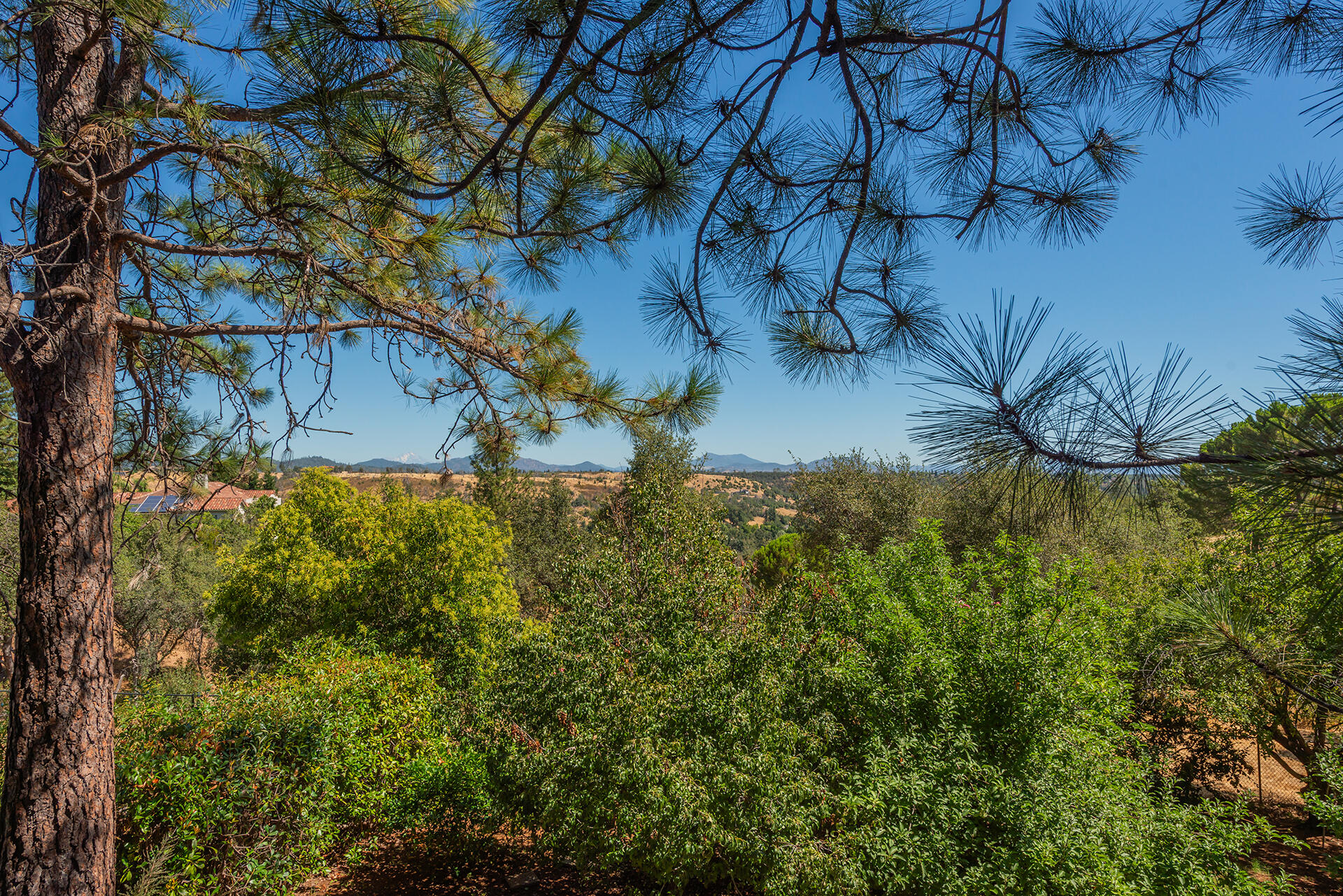 main property photo 74