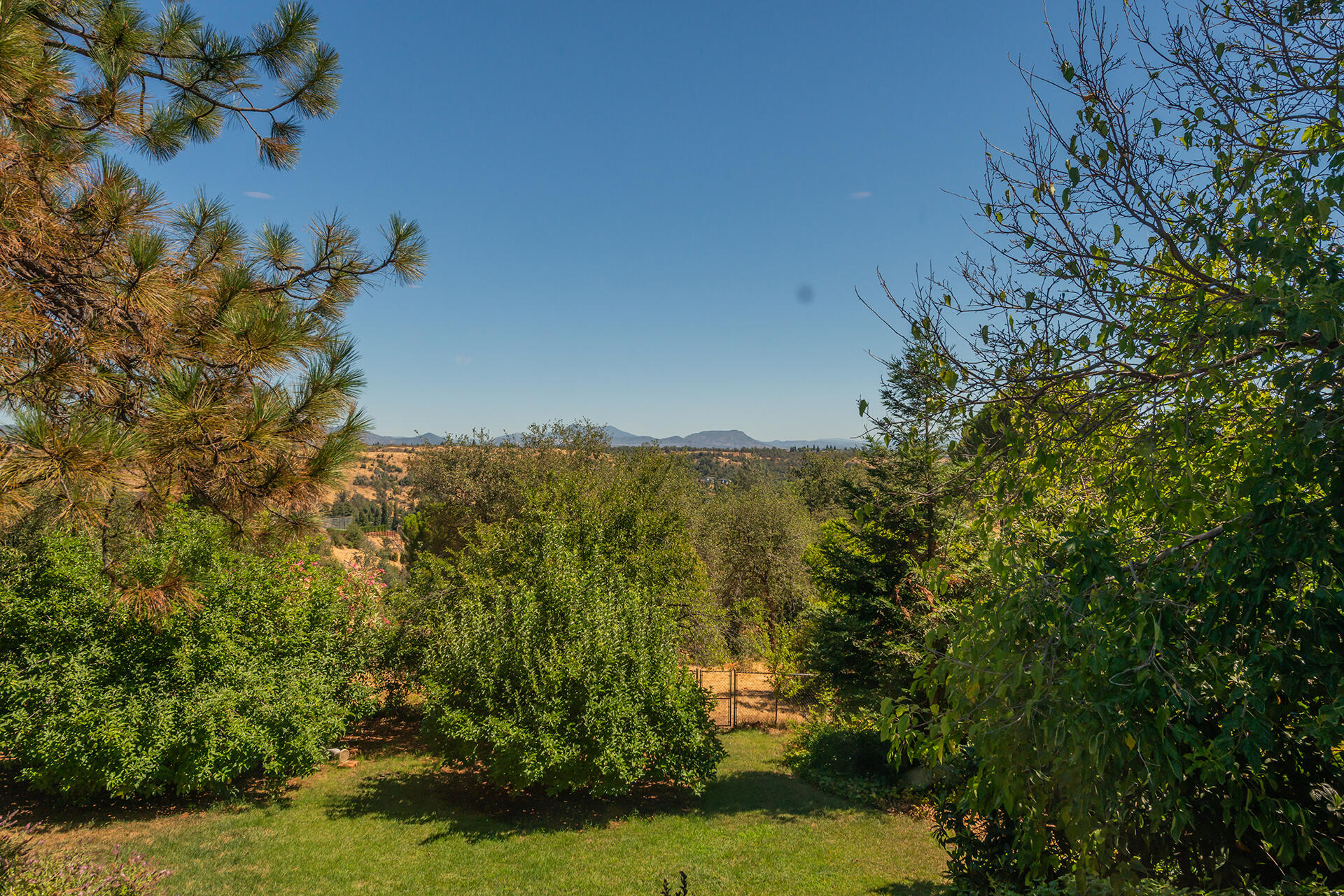 main property photo 75