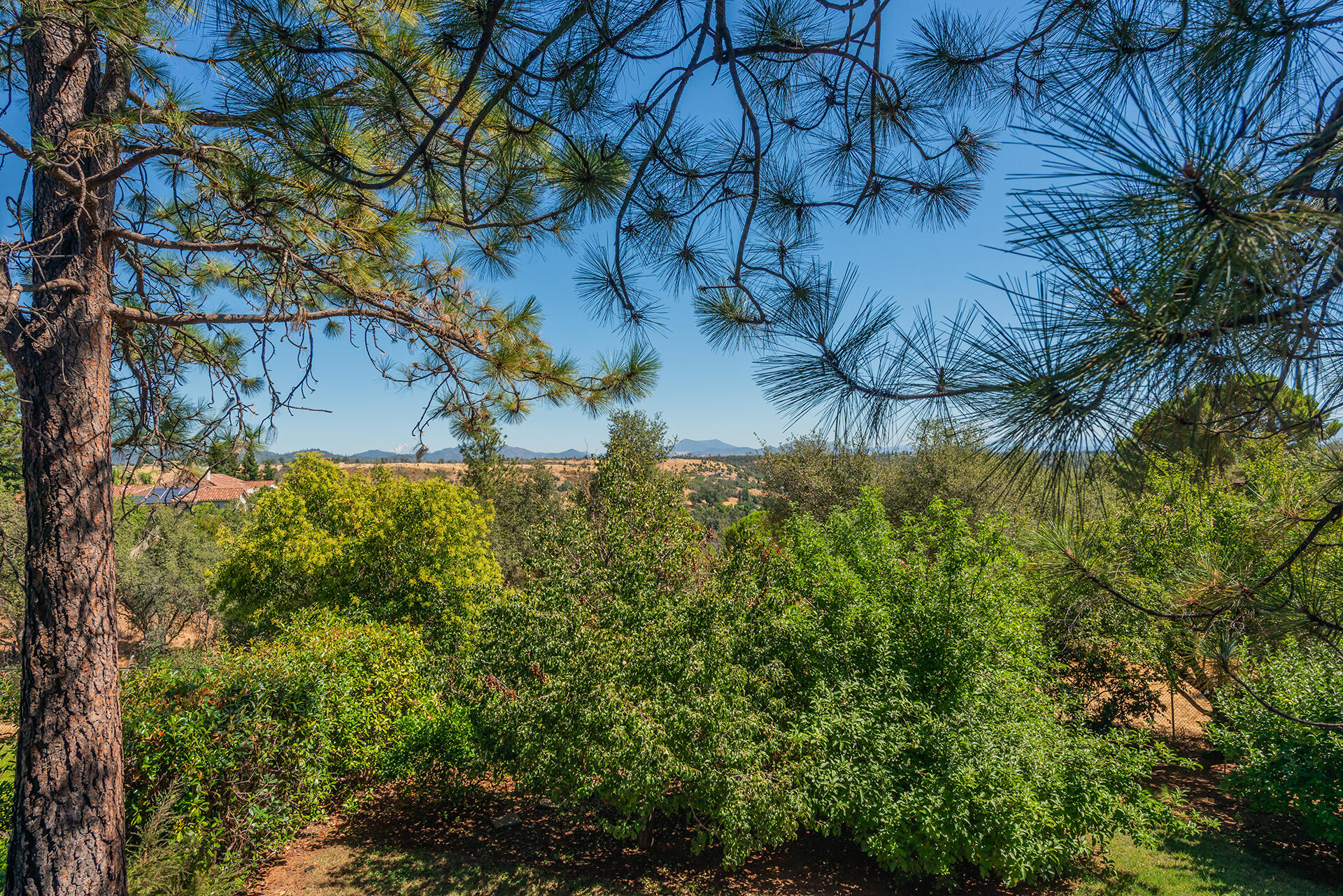 main property photo 78