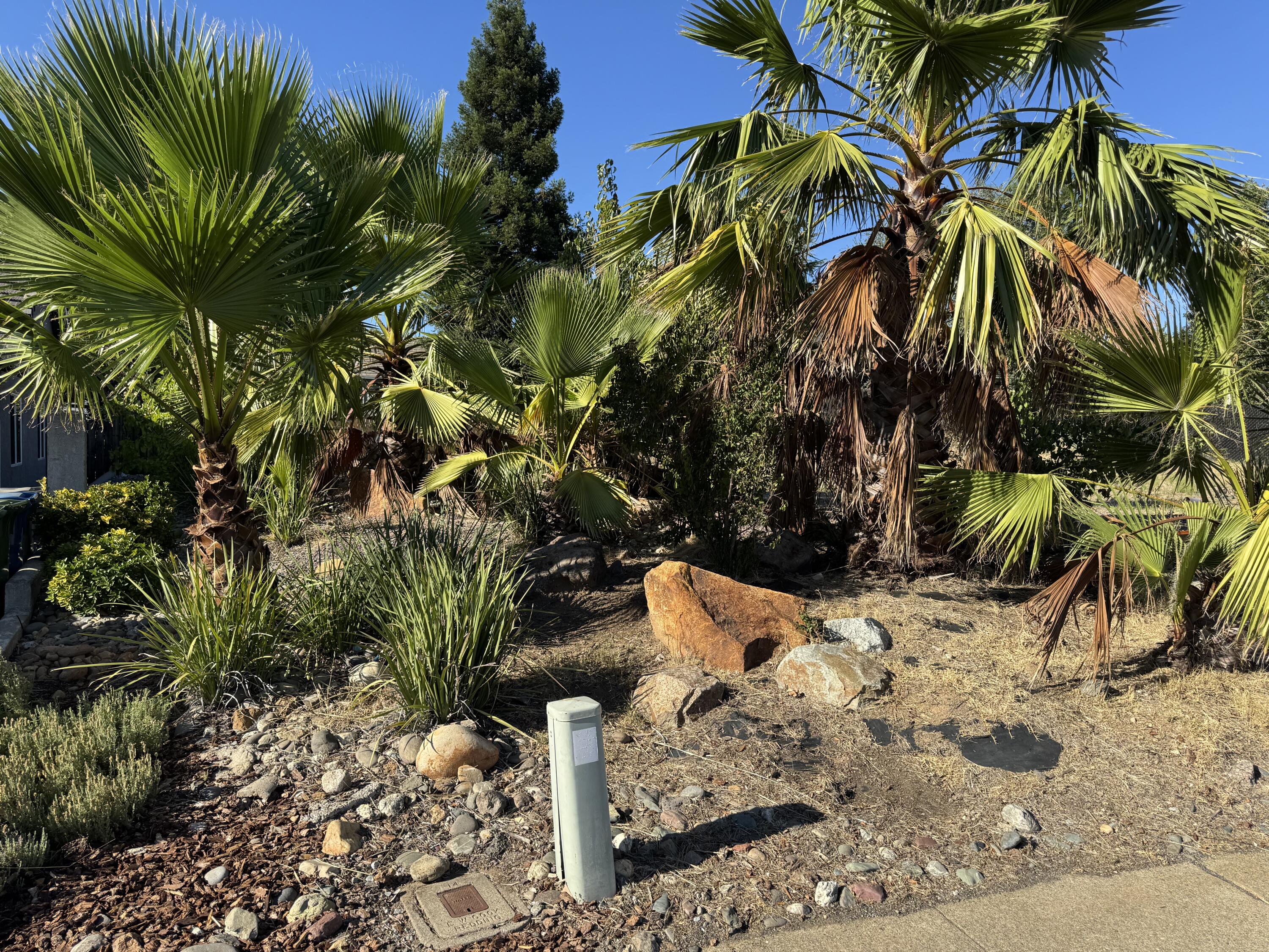 main property photo 10
