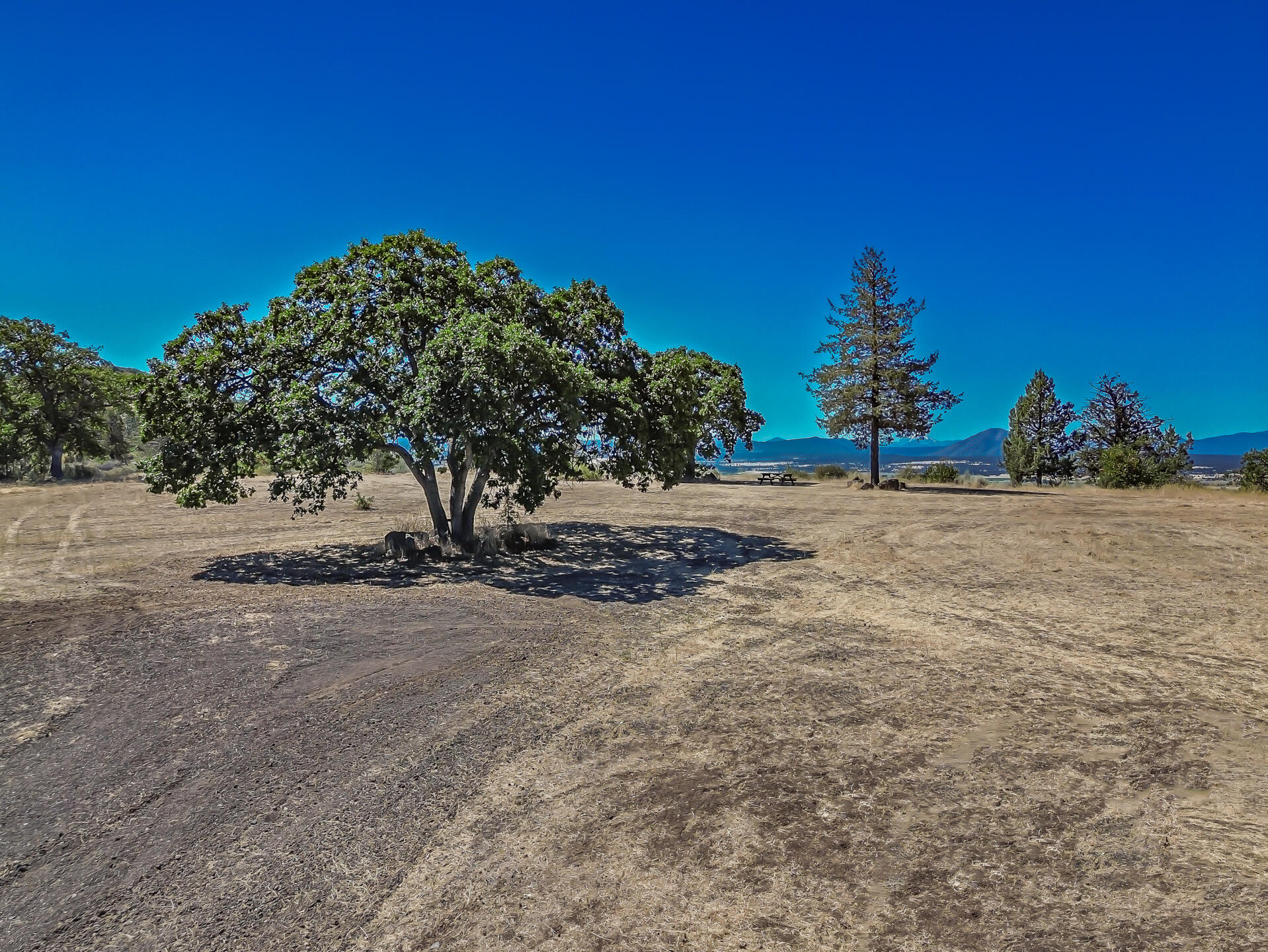 main property photo 87