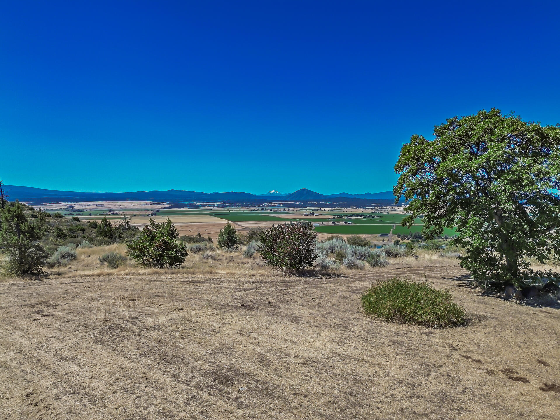 main property photo 88