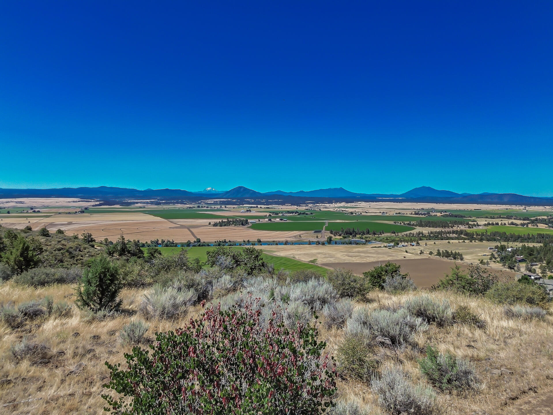 main property photo 89
