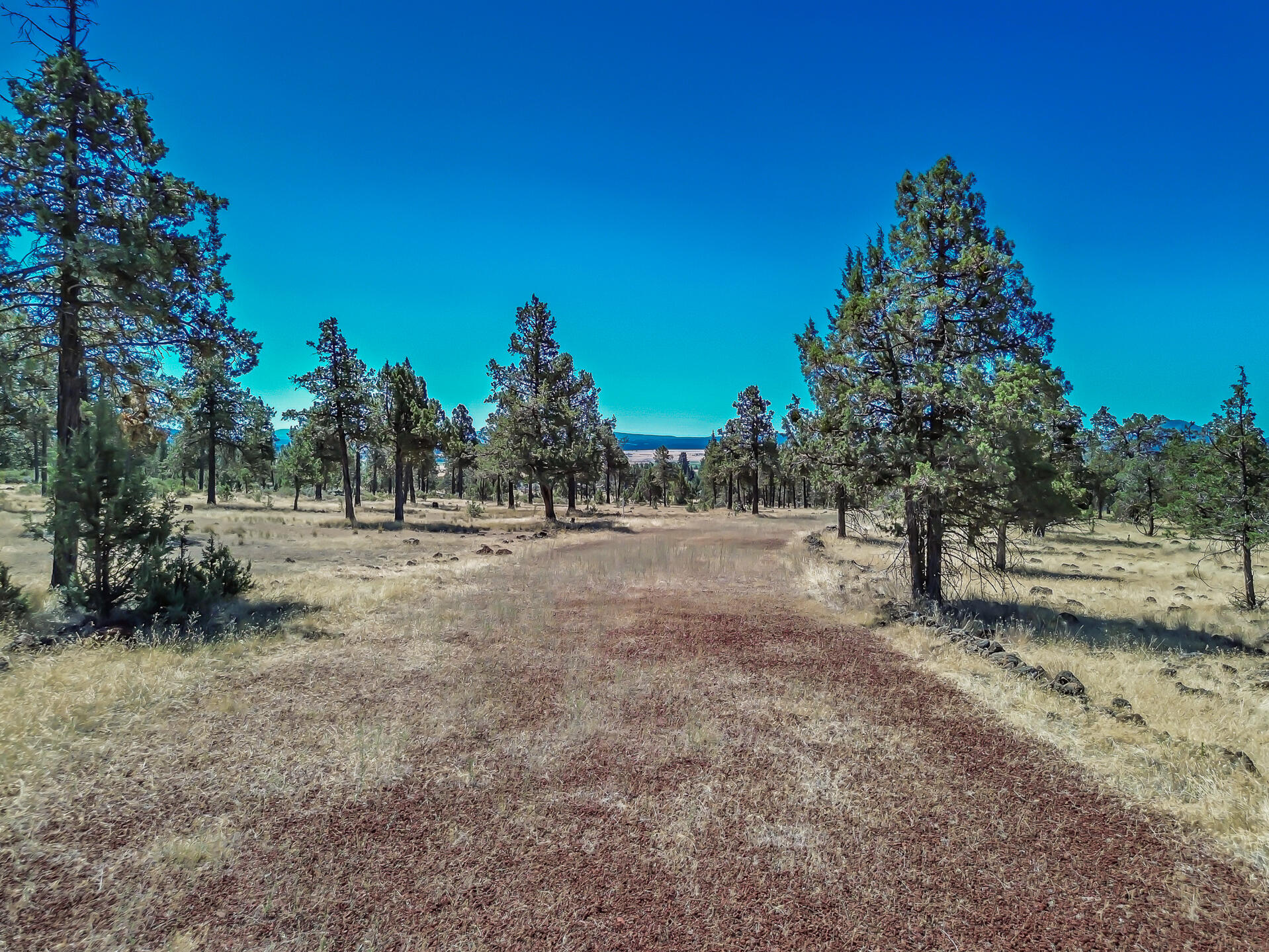 main property photo 92