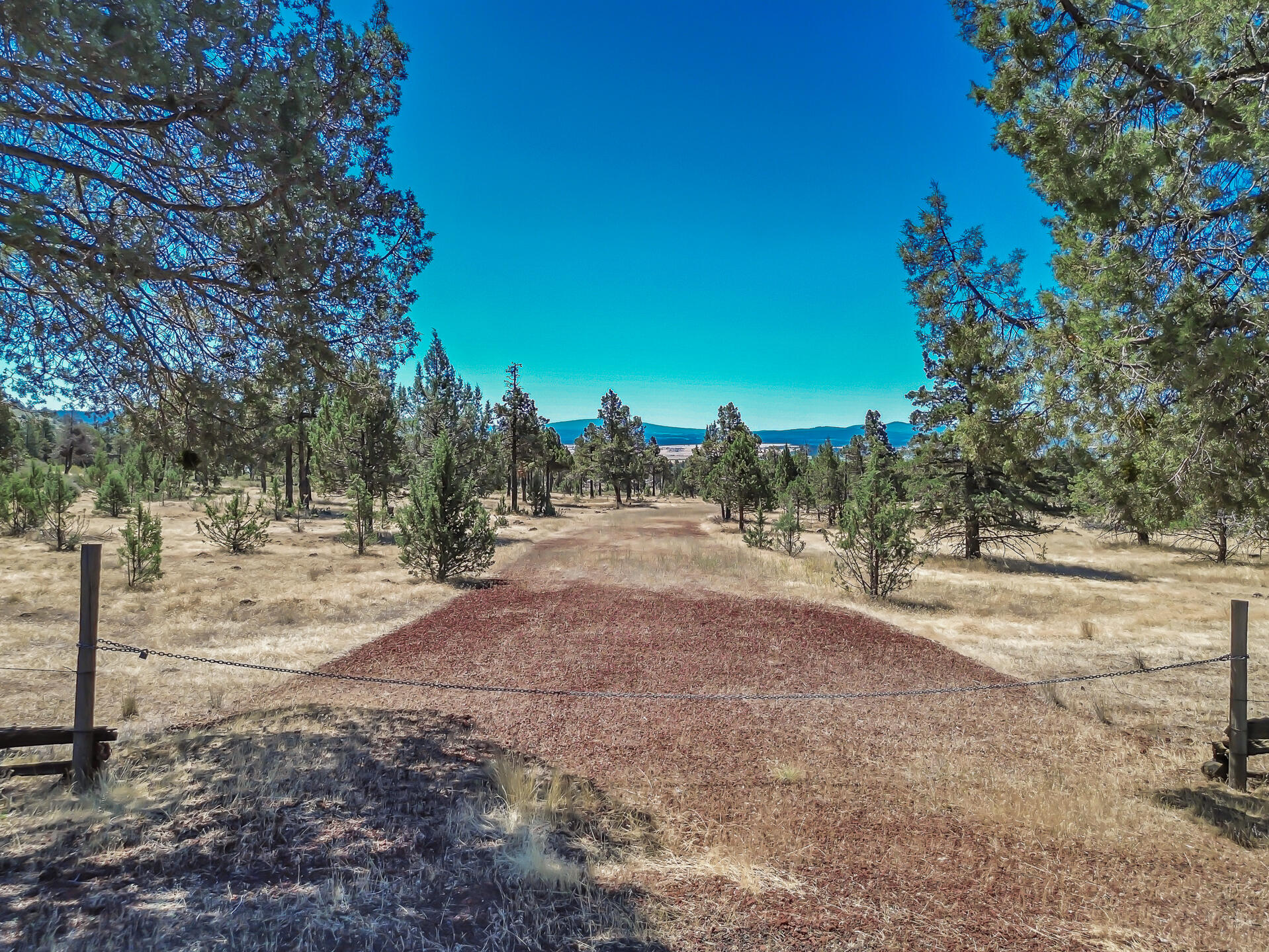 main property photo 93
