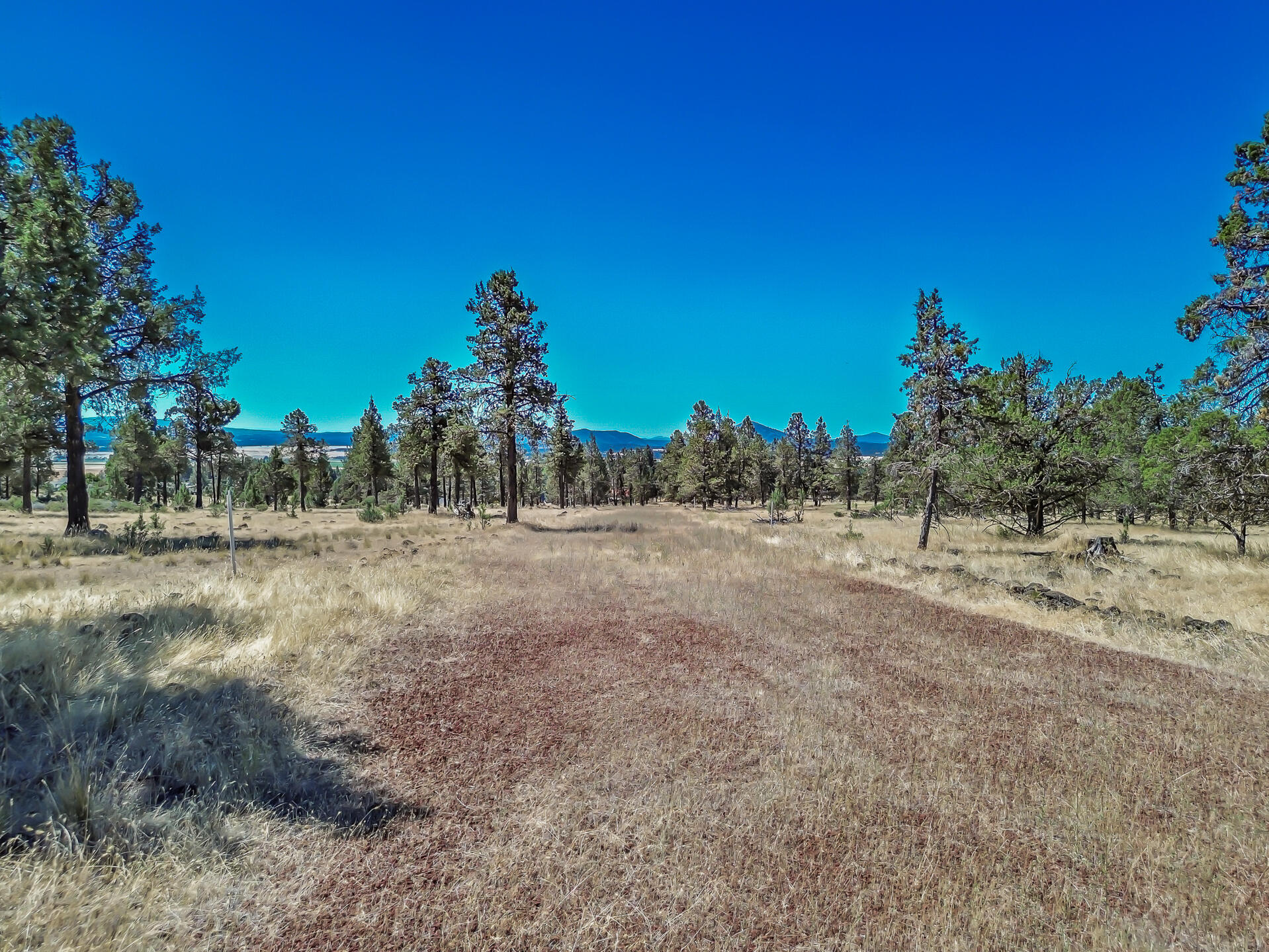 main property photo 94