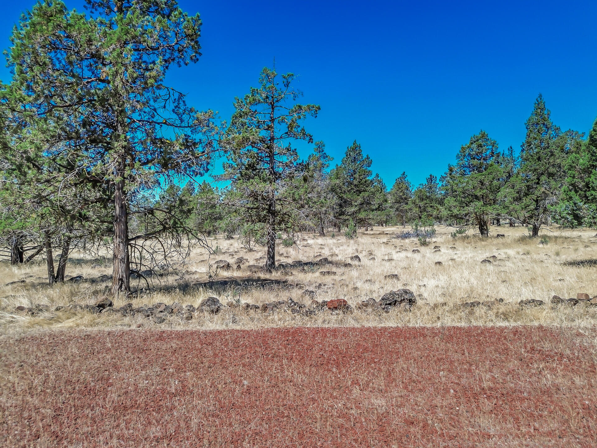 main property photo 95
