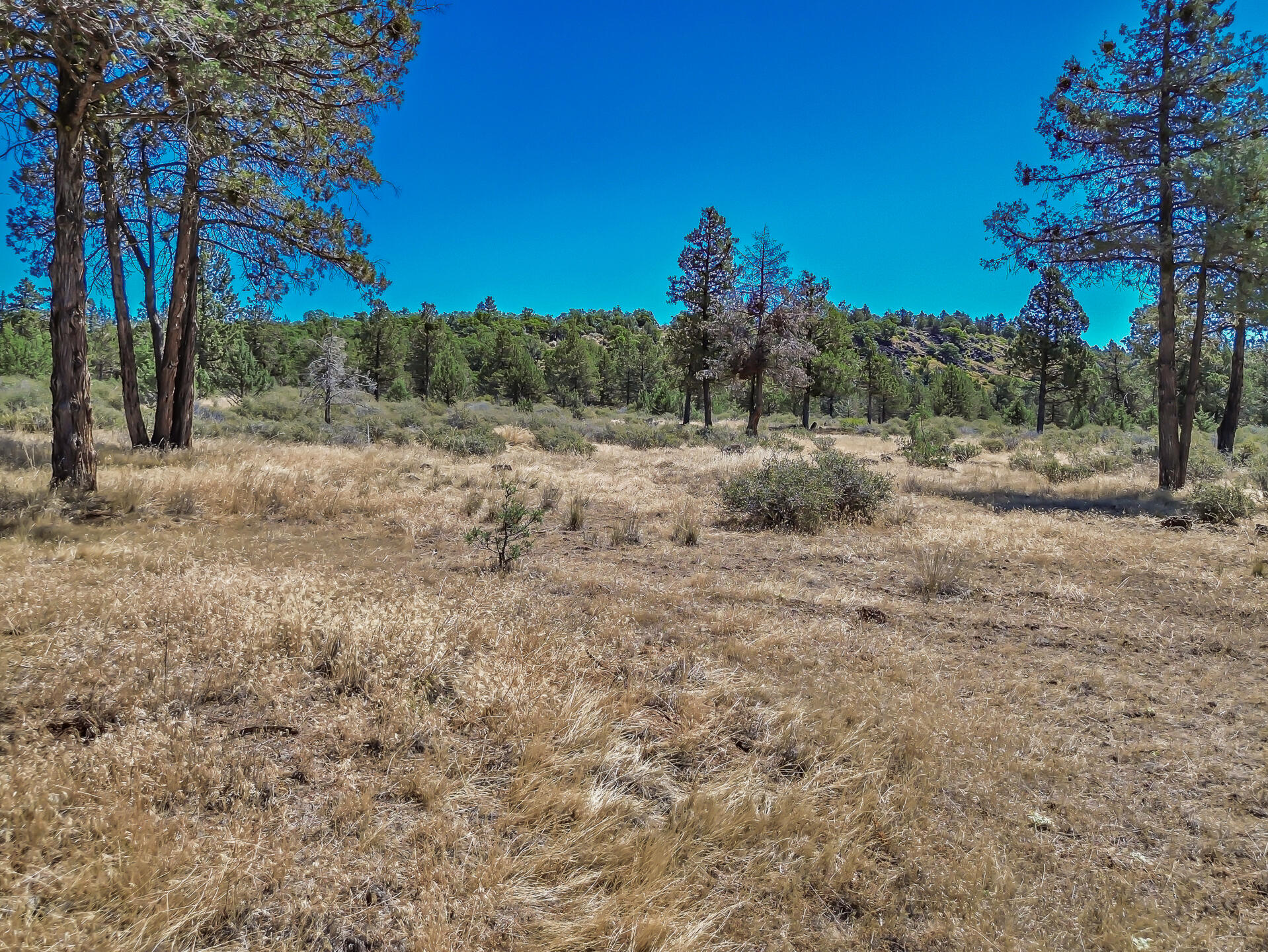 main property photo 96