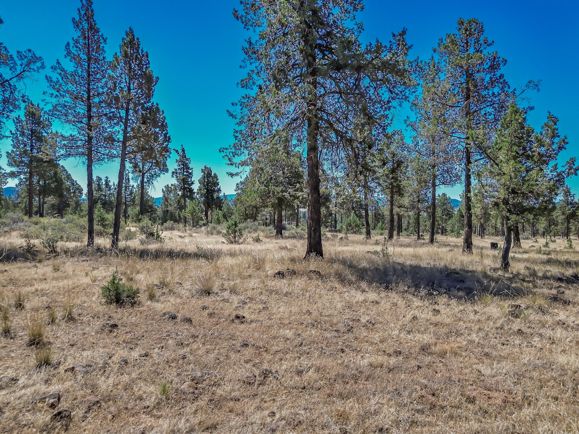 main property photo 97