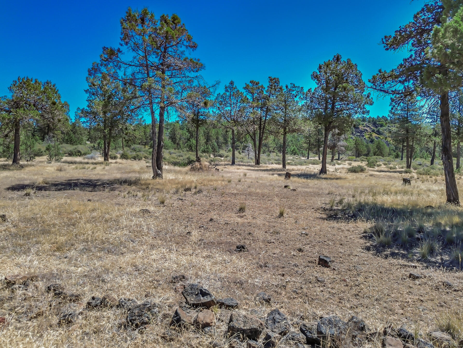 main property photo 98