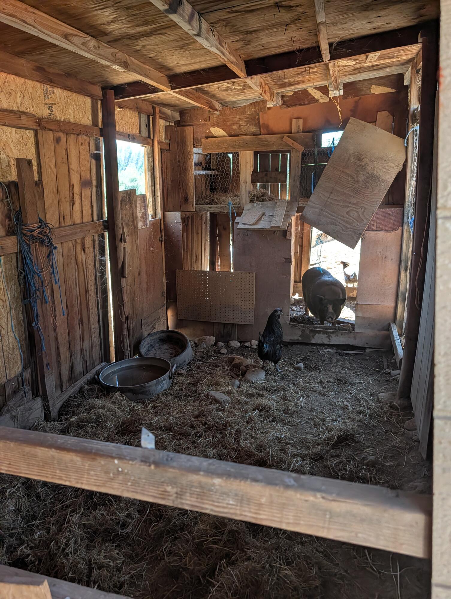 main property photo 11