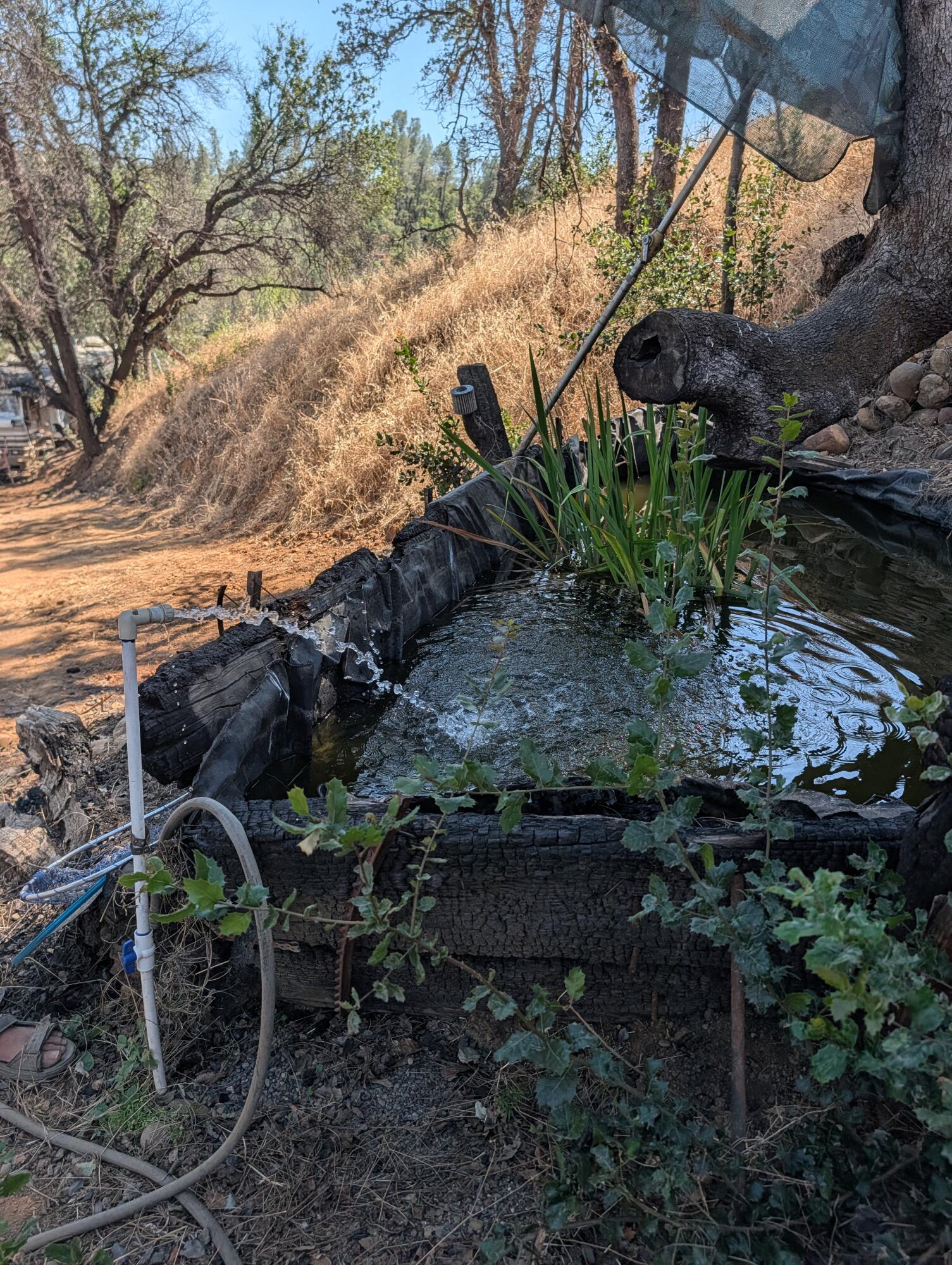 main property photo 18