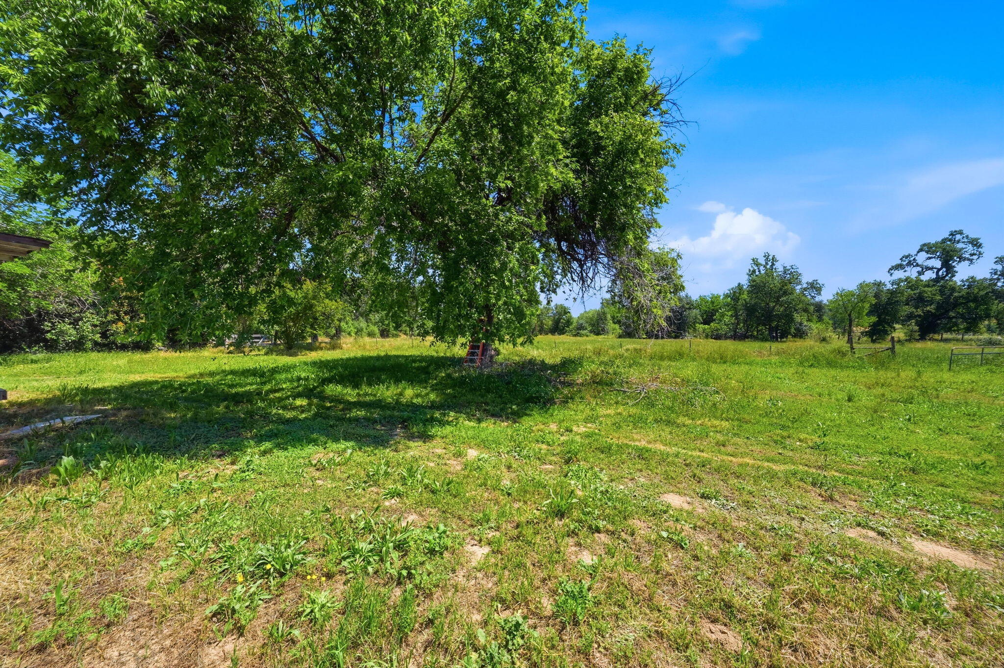 main property photo 32