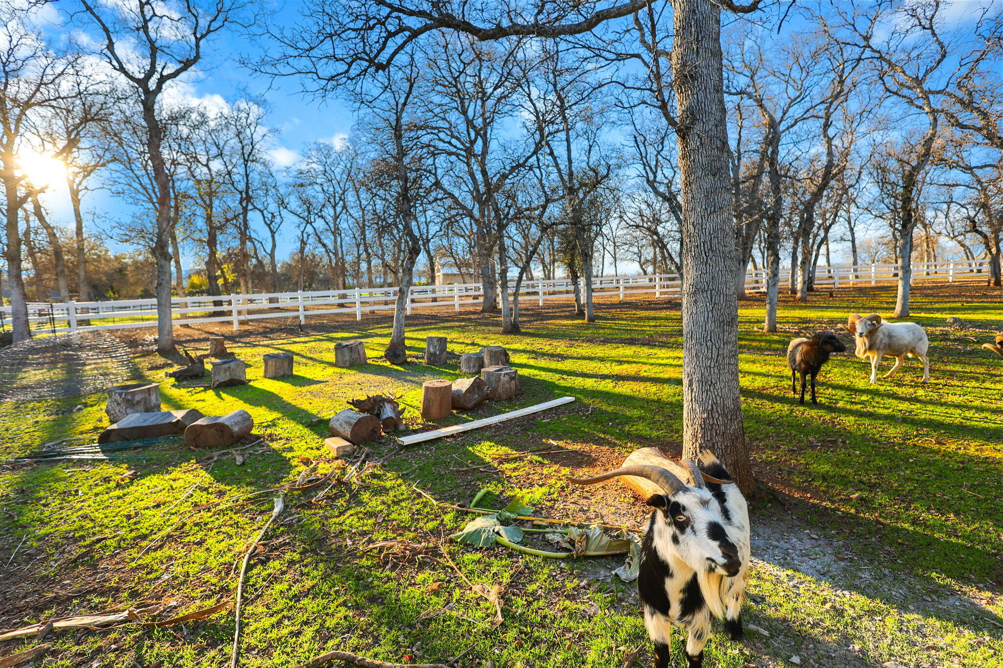 main property photo 57