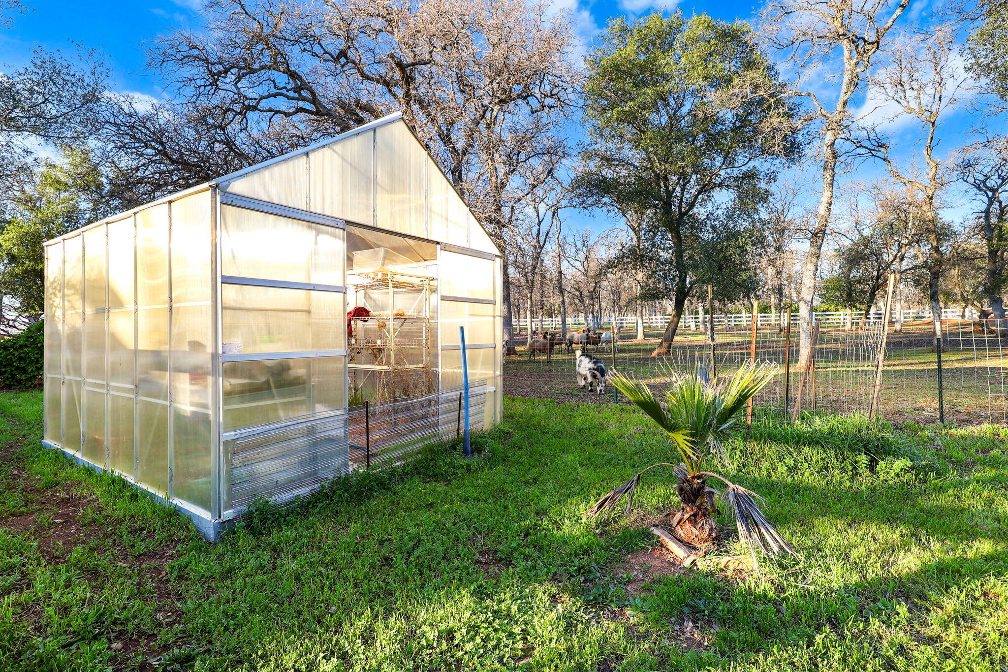 main property photo 58