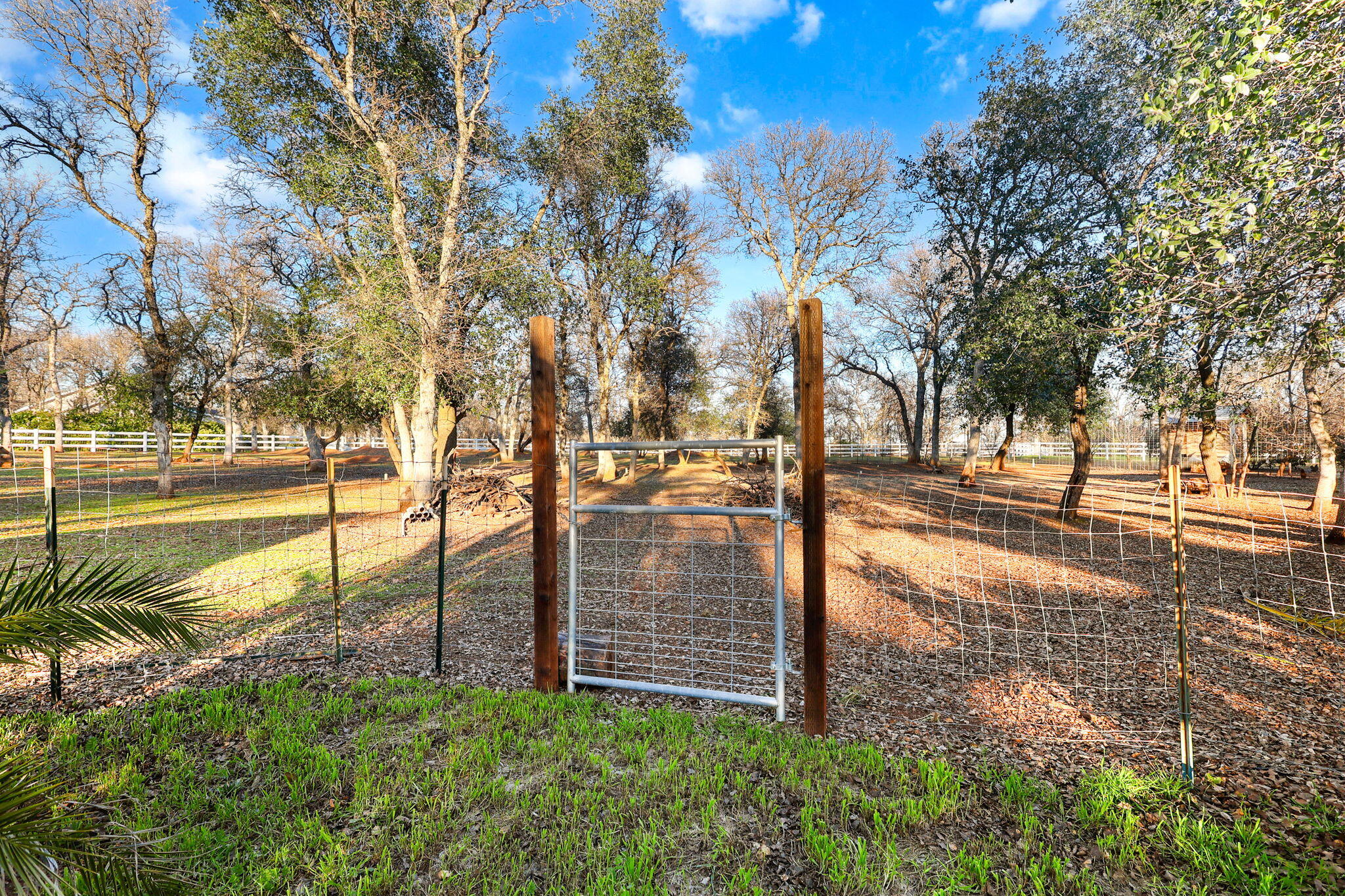 main property photo 59