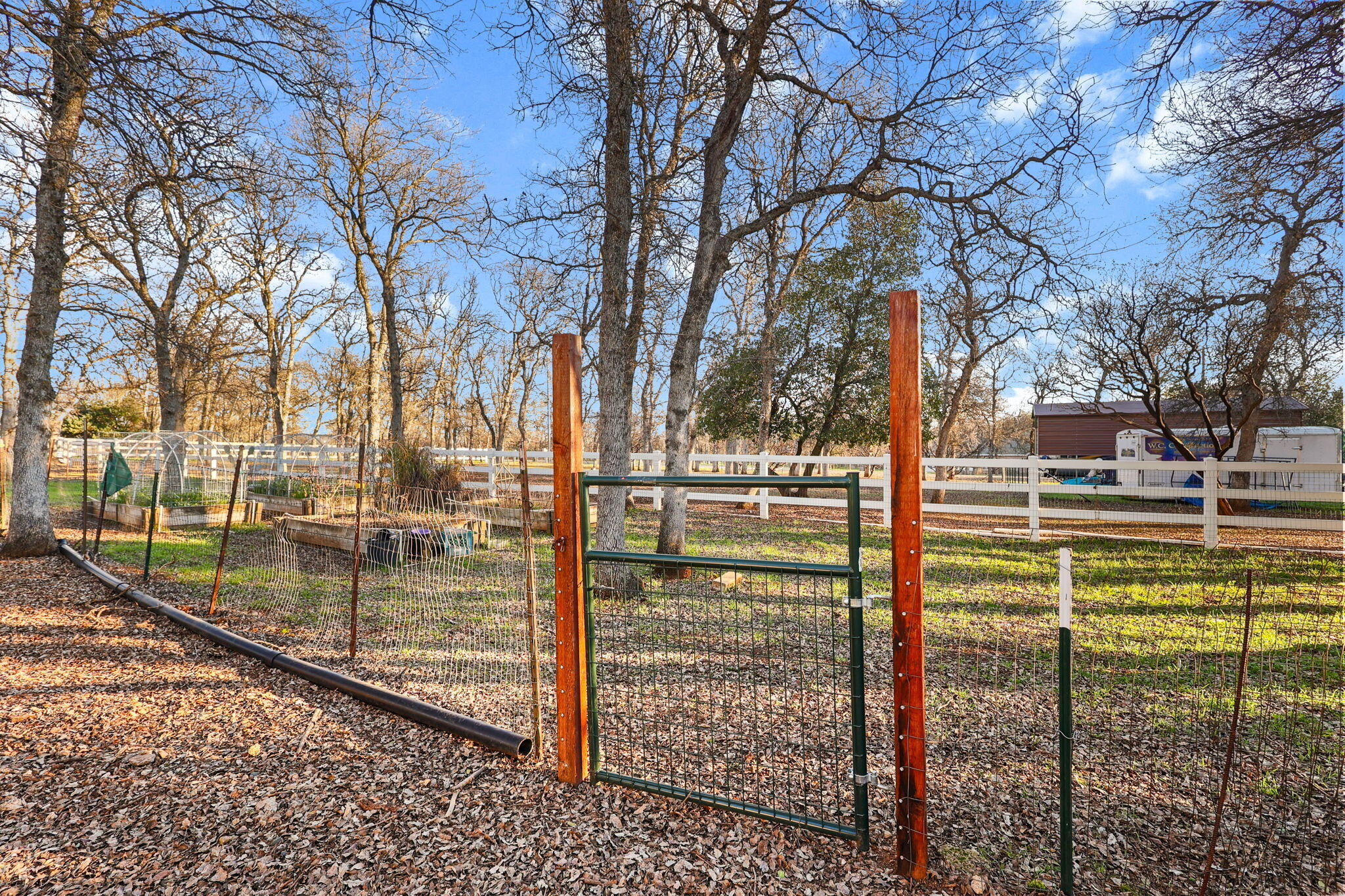 main property photo 60