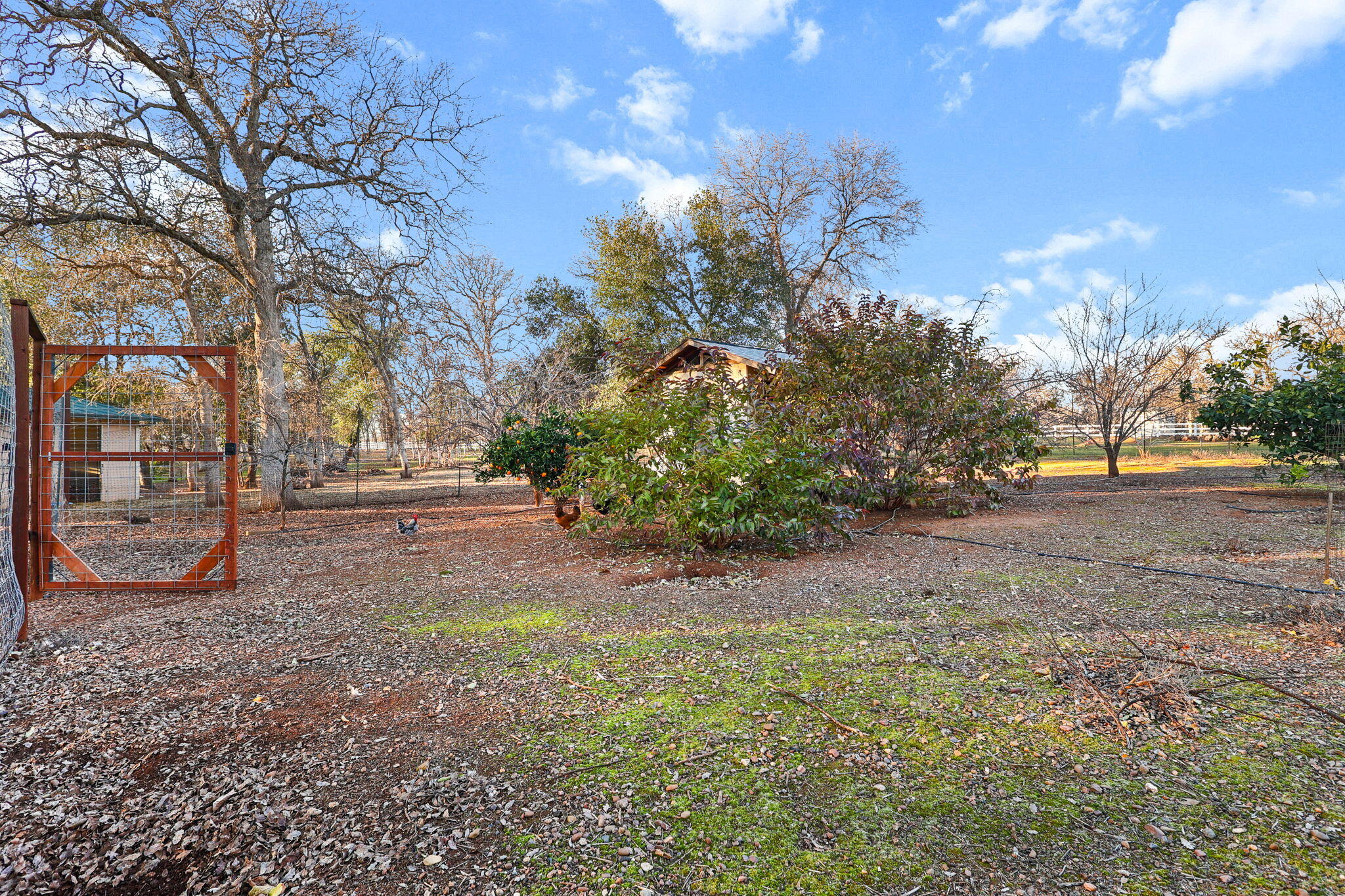 main property photo 61