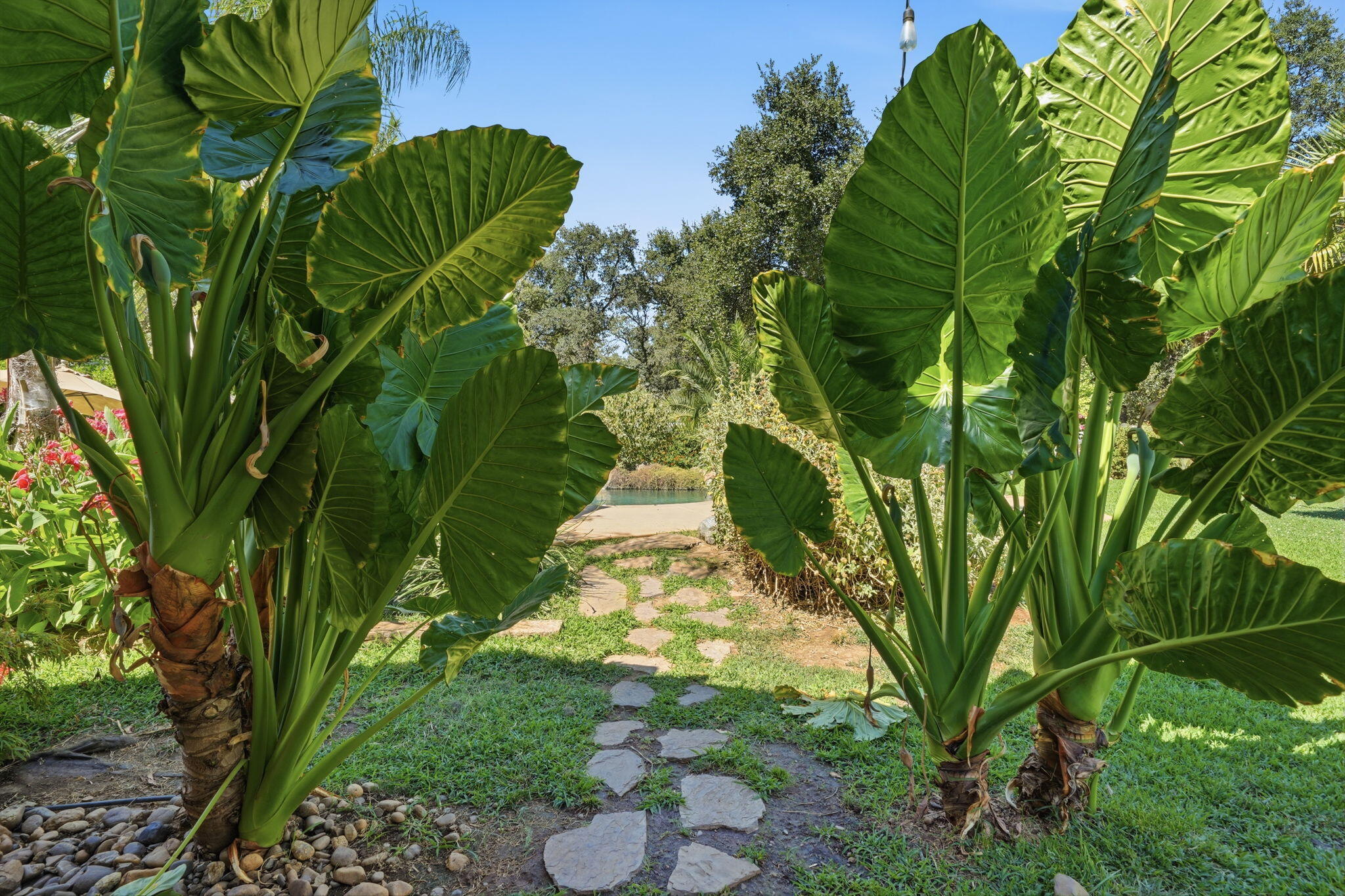 main property photo 64