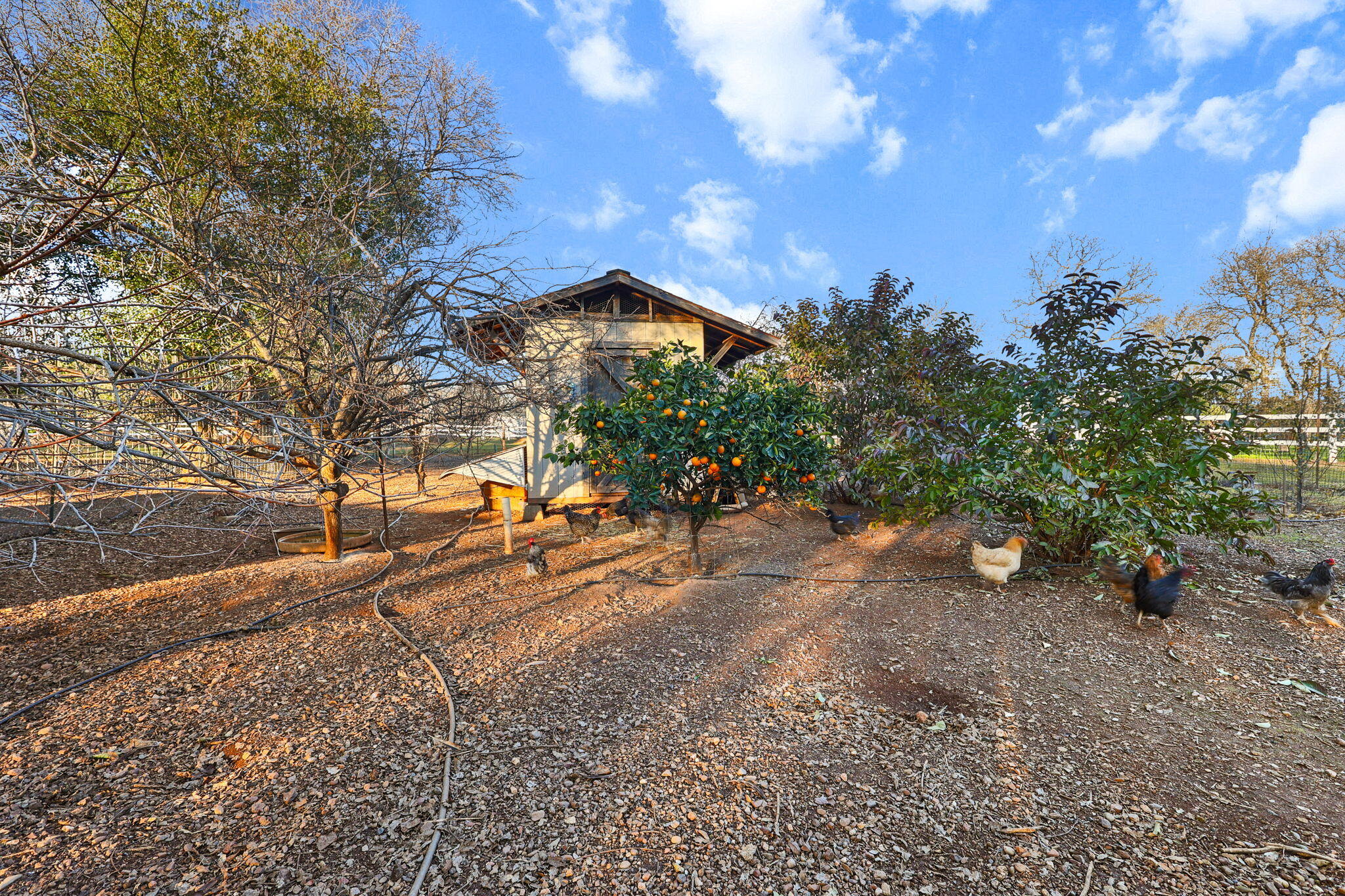 main property photo 65