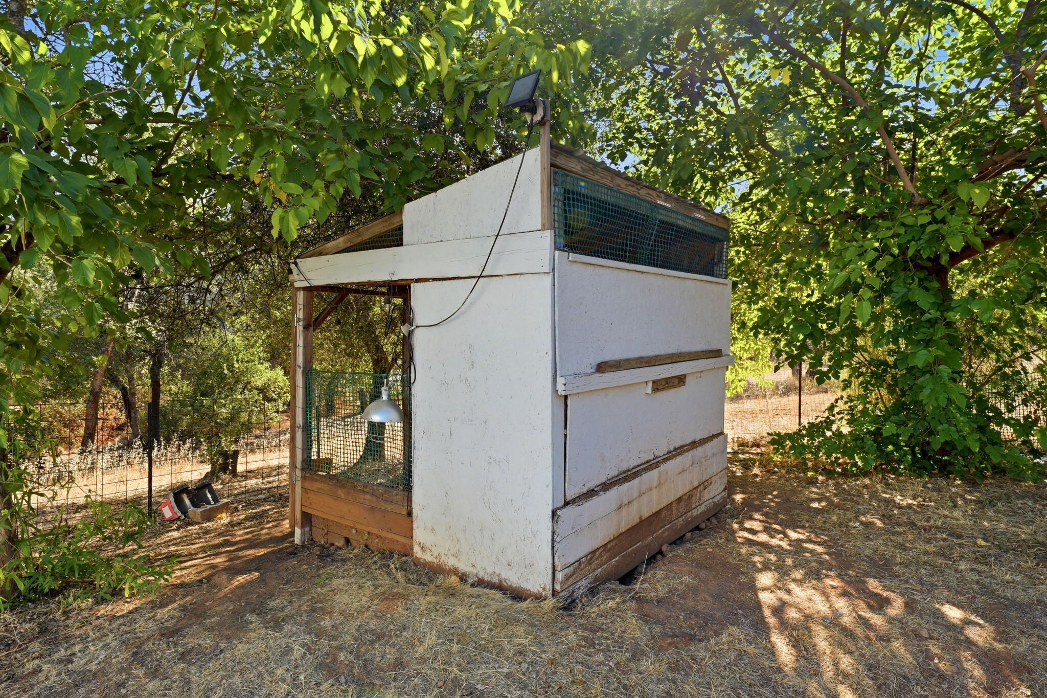 main property photo 23