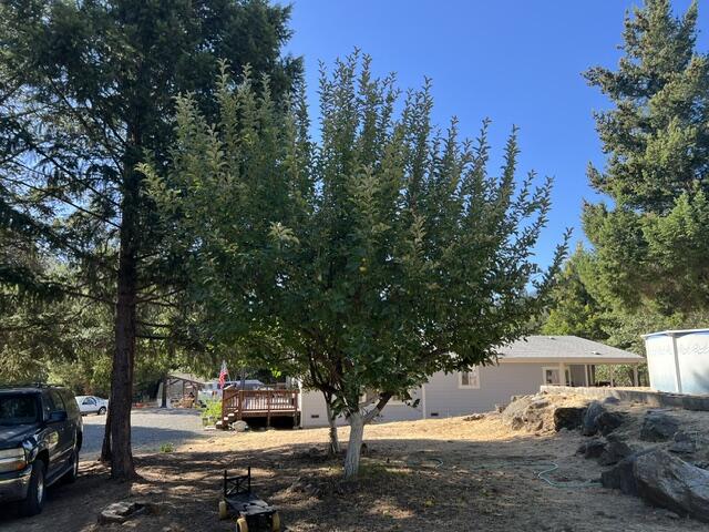 main property photo 48