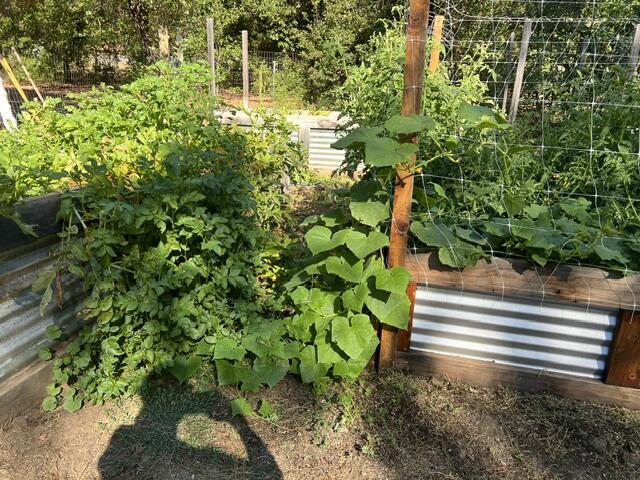 main property photo 52
