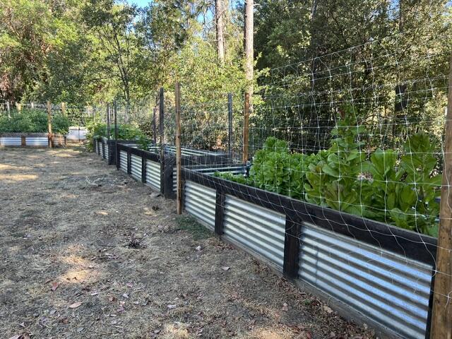 main property photo 54