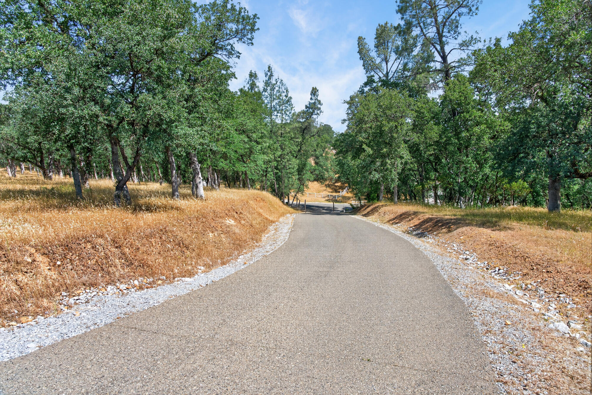 main property photo 60