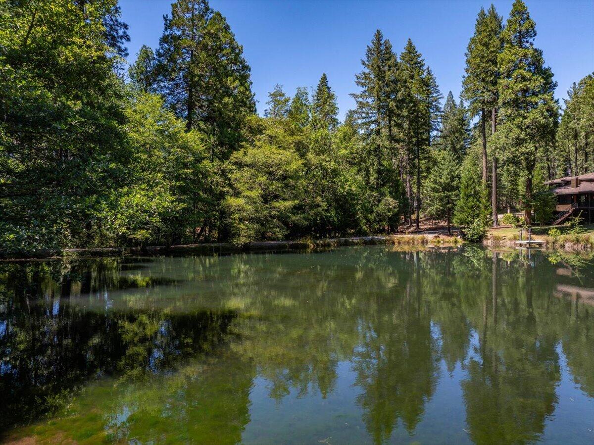 main property photo 67