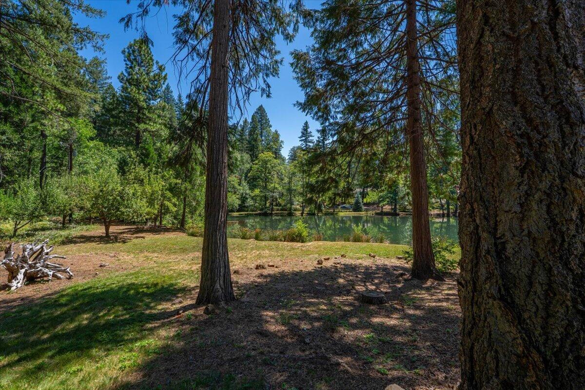 main property photo 88