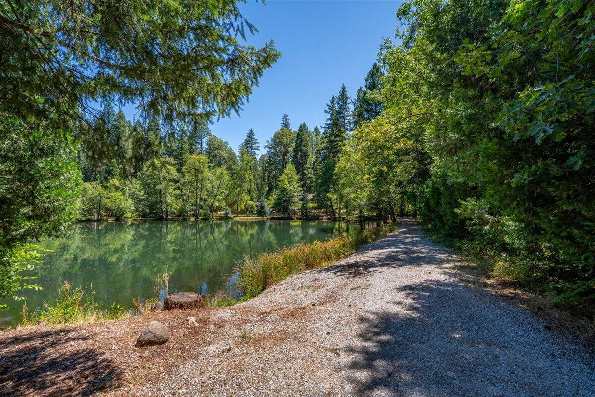 main property photo 97
