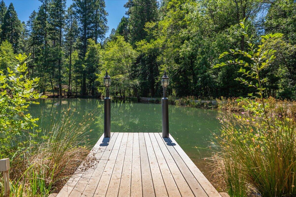main property photo 98
