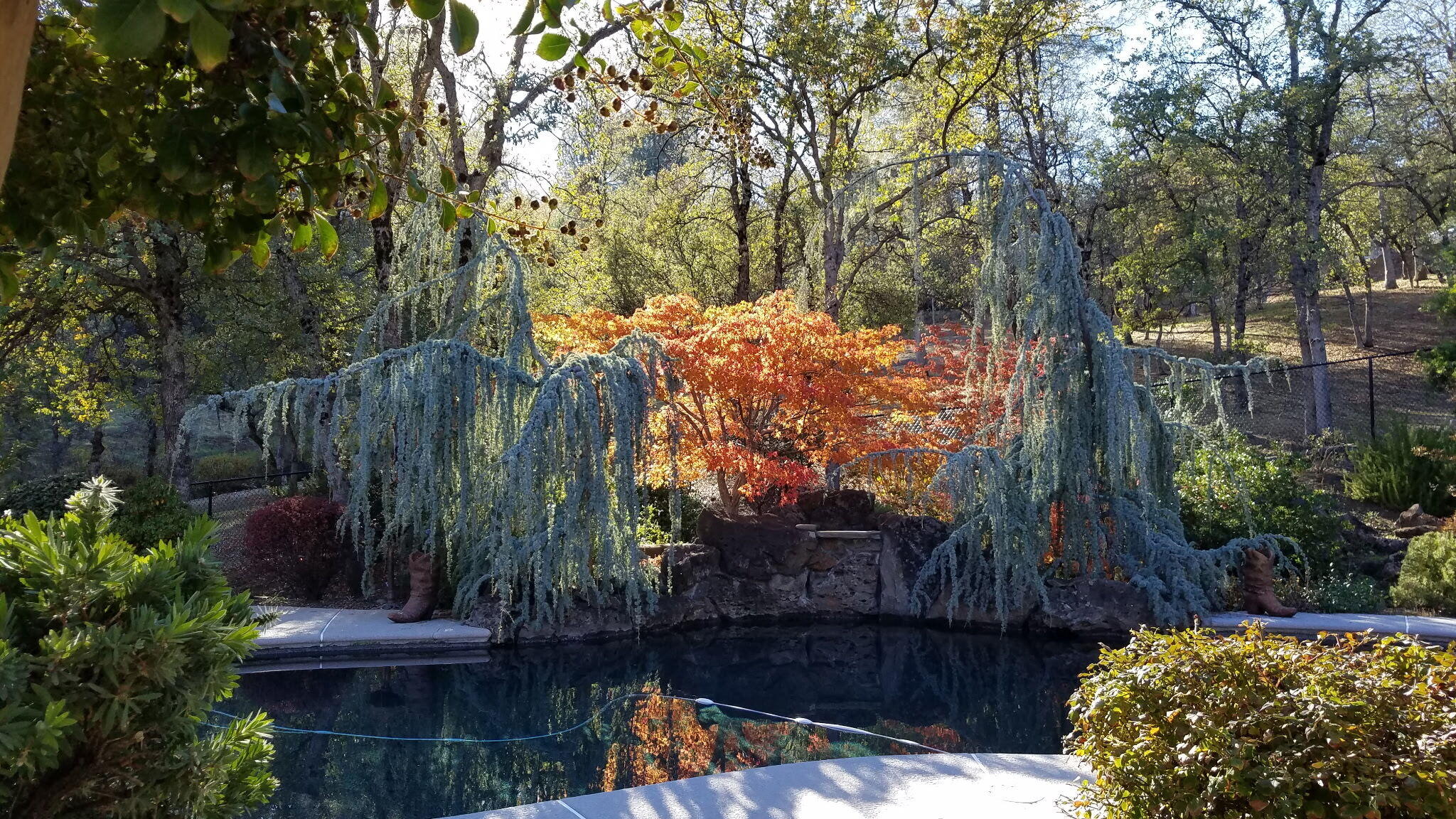 main property photo 37