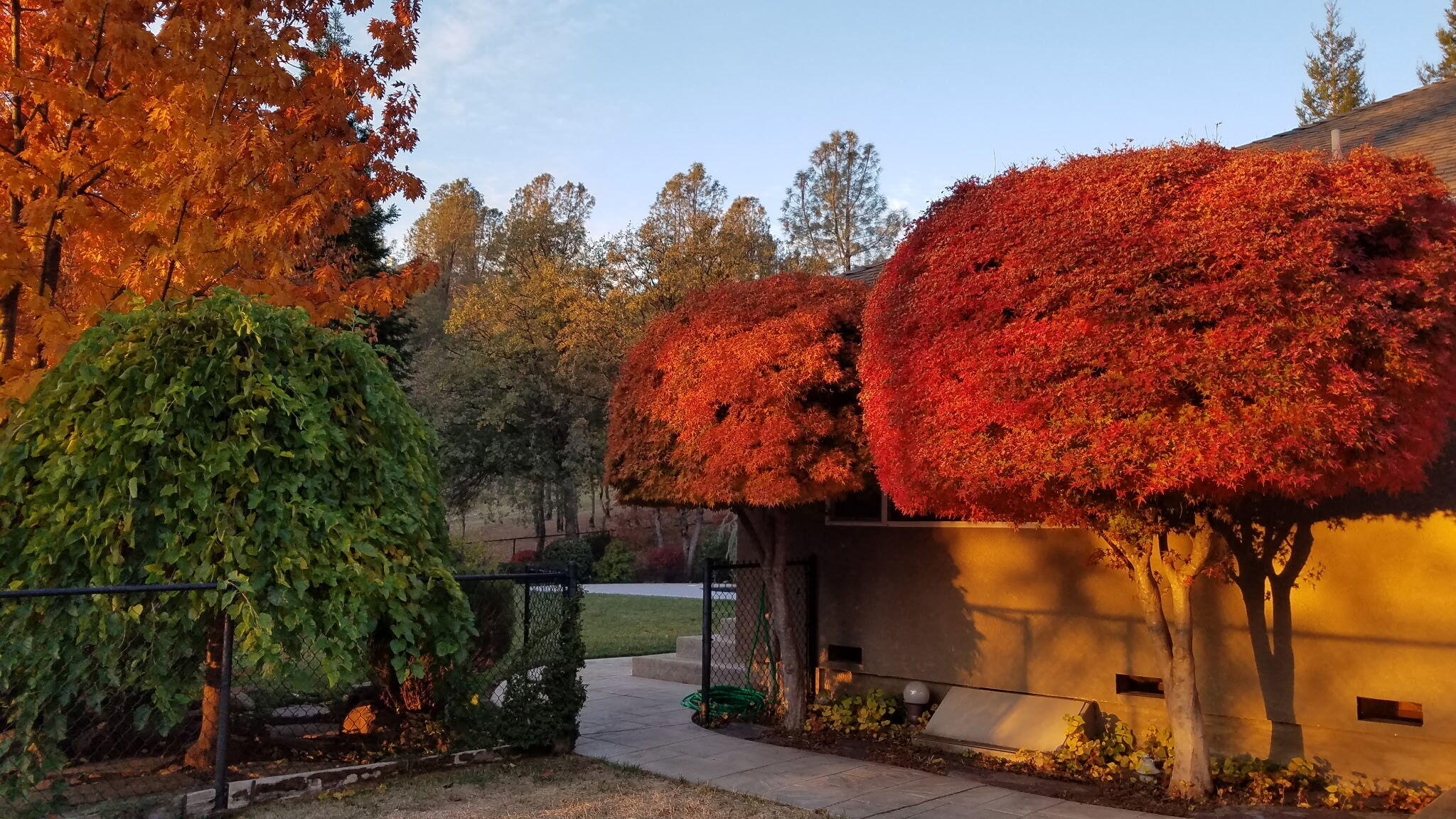 main property photo 39