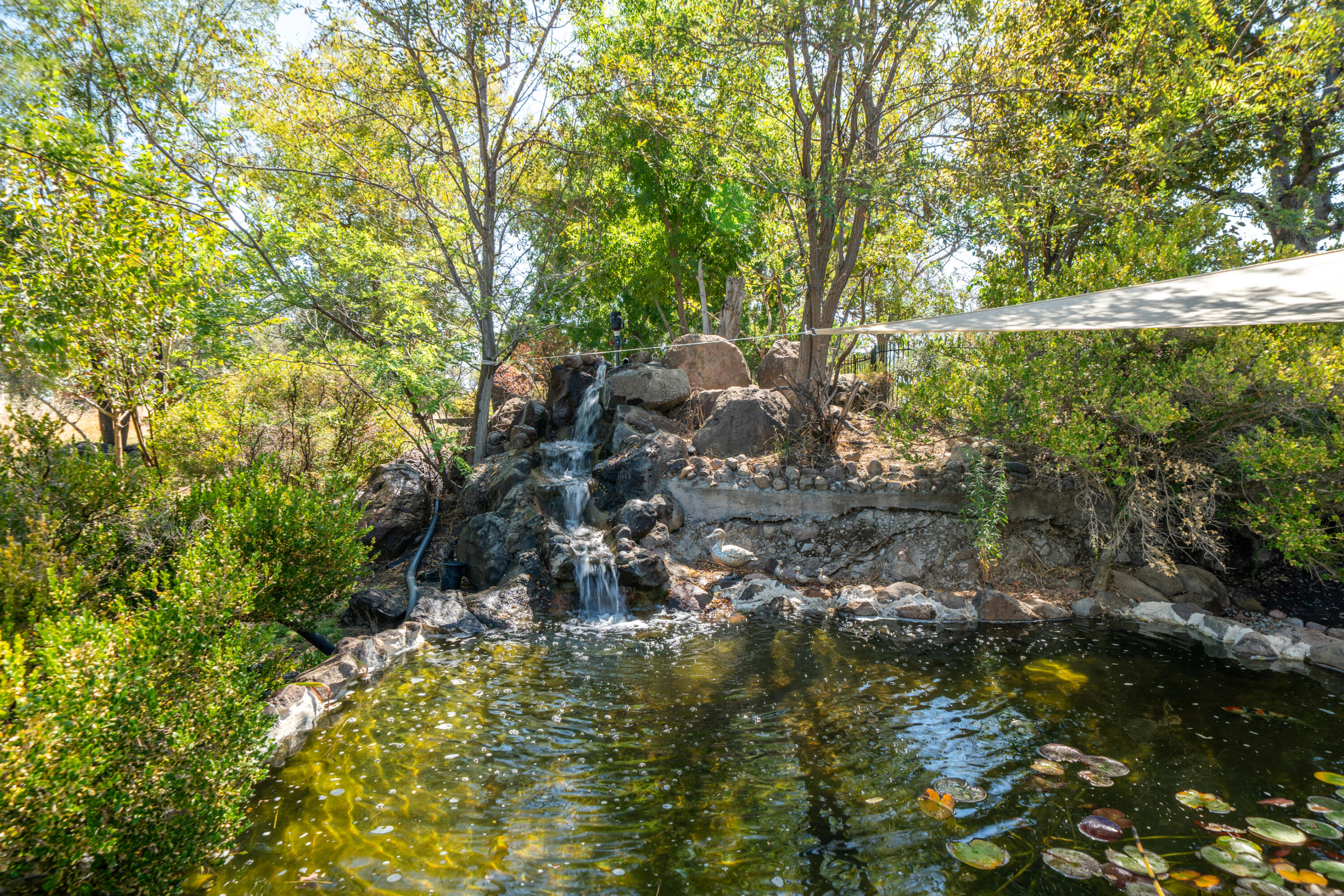 main property photo 54