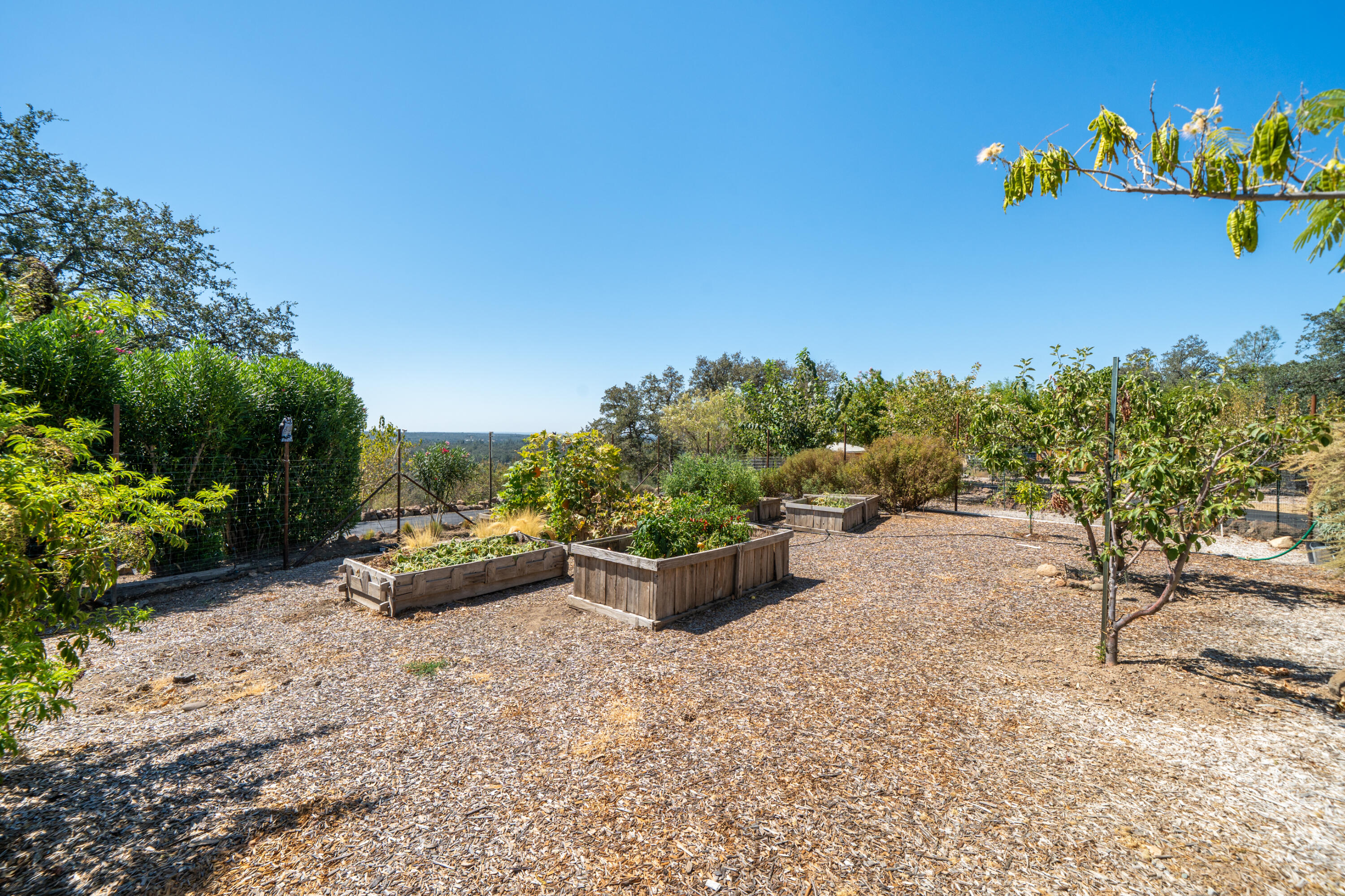 main property photo 79