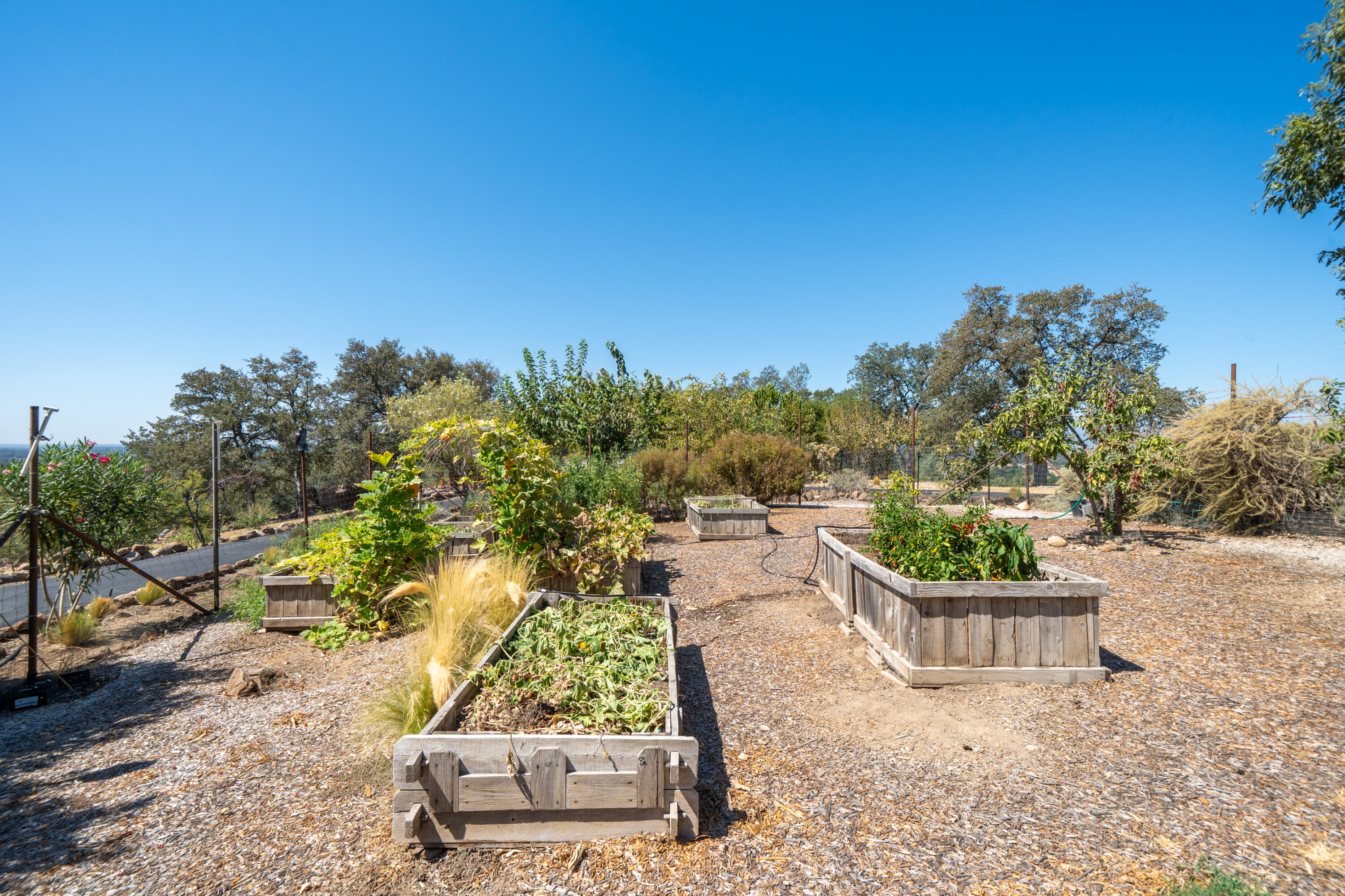 main property photo 80