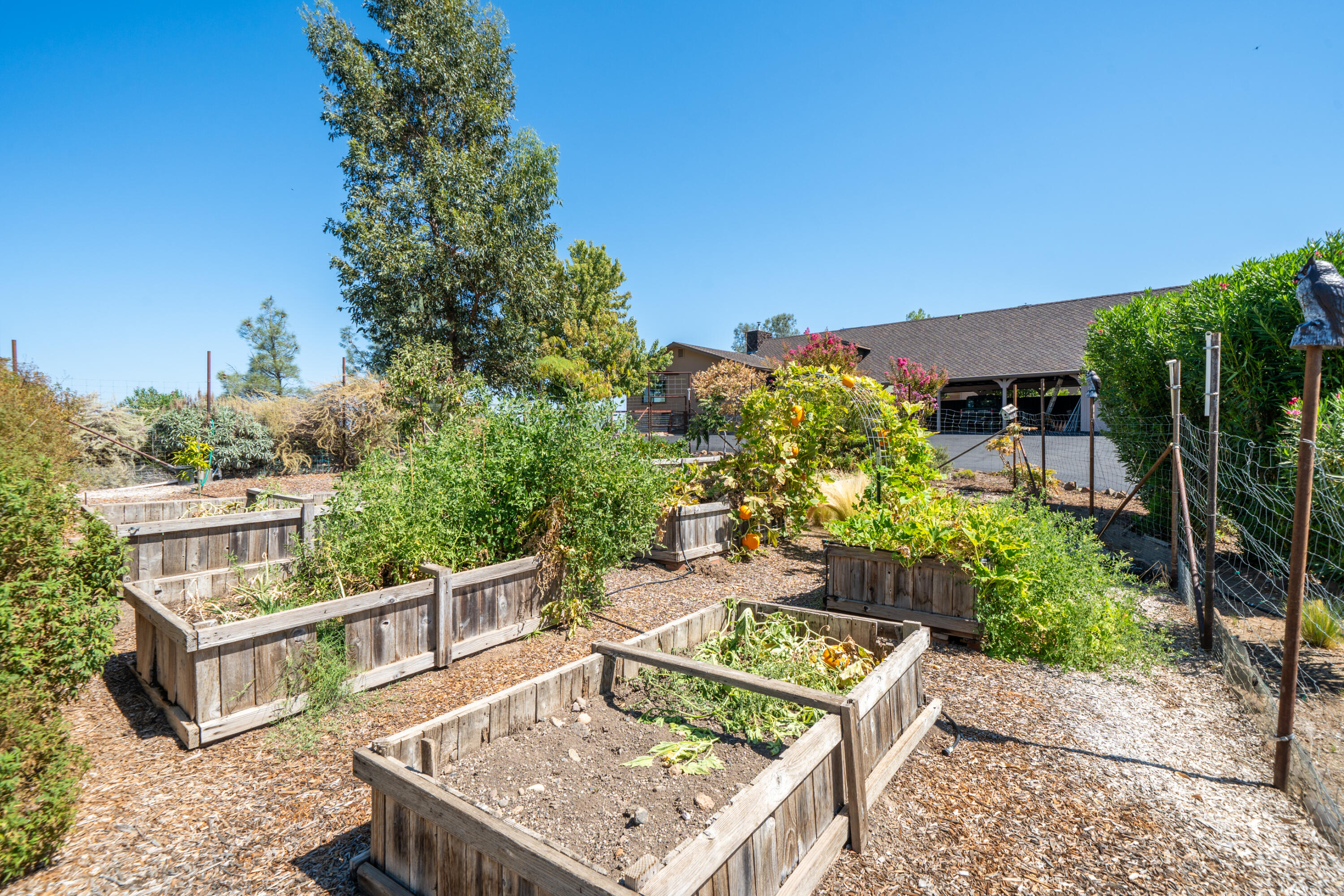 main property photo 81