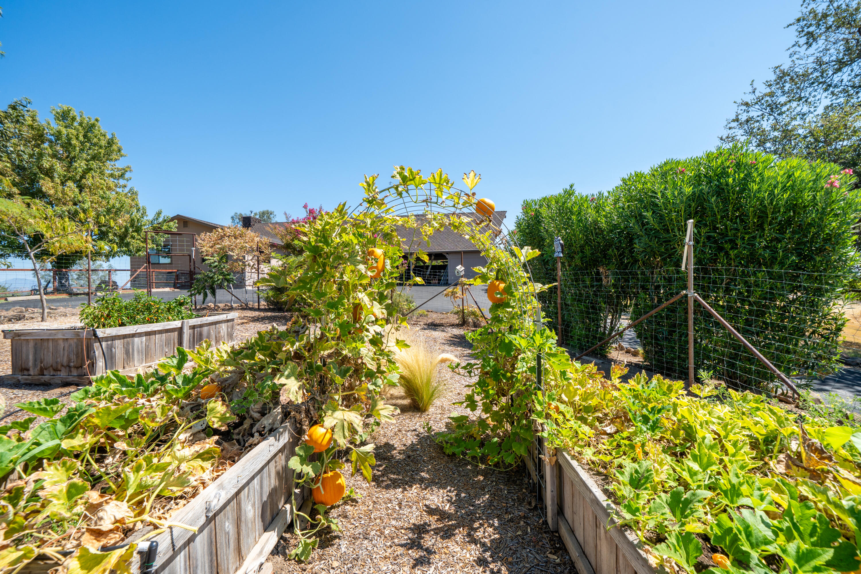 main property photo 82