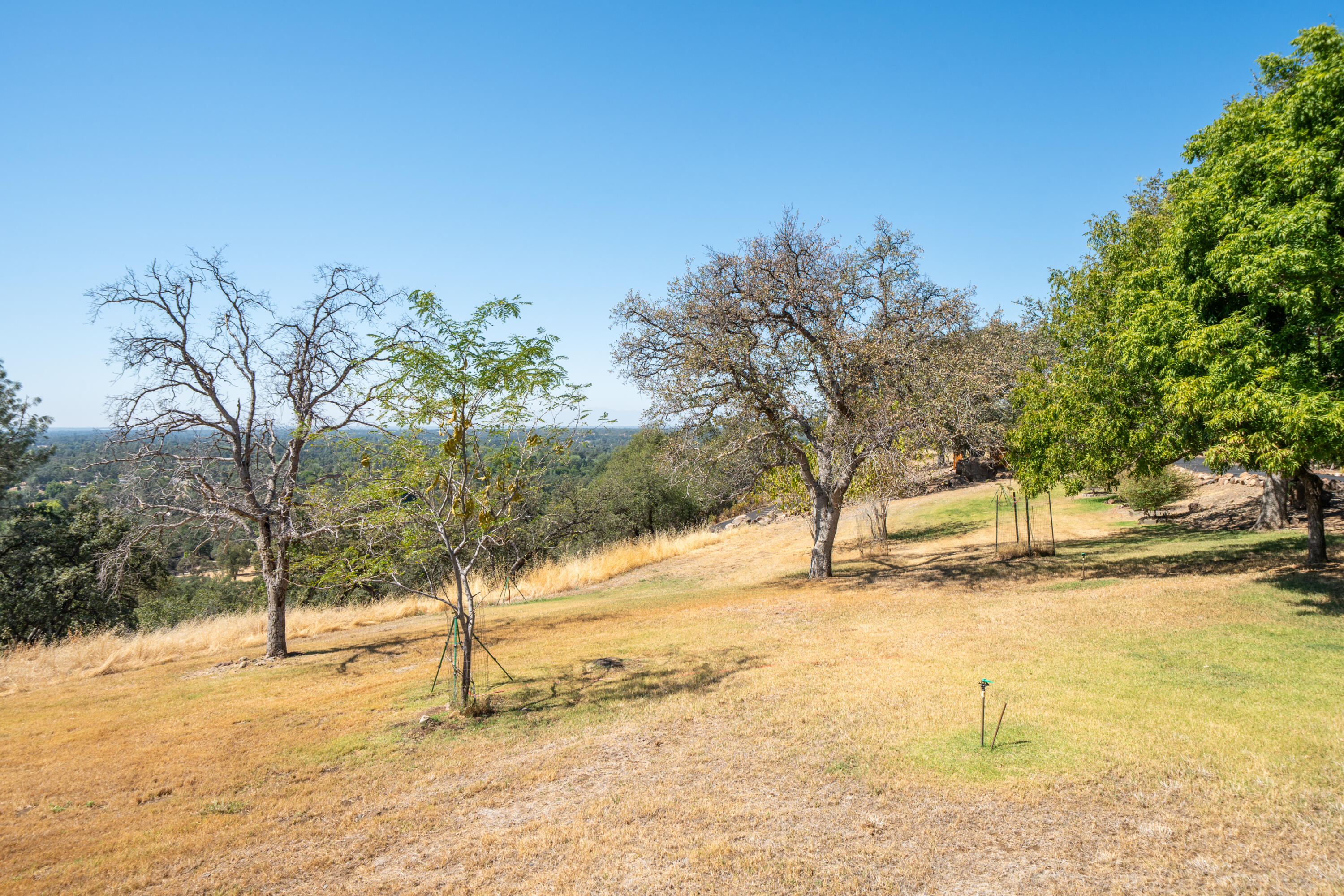 main property photo 89