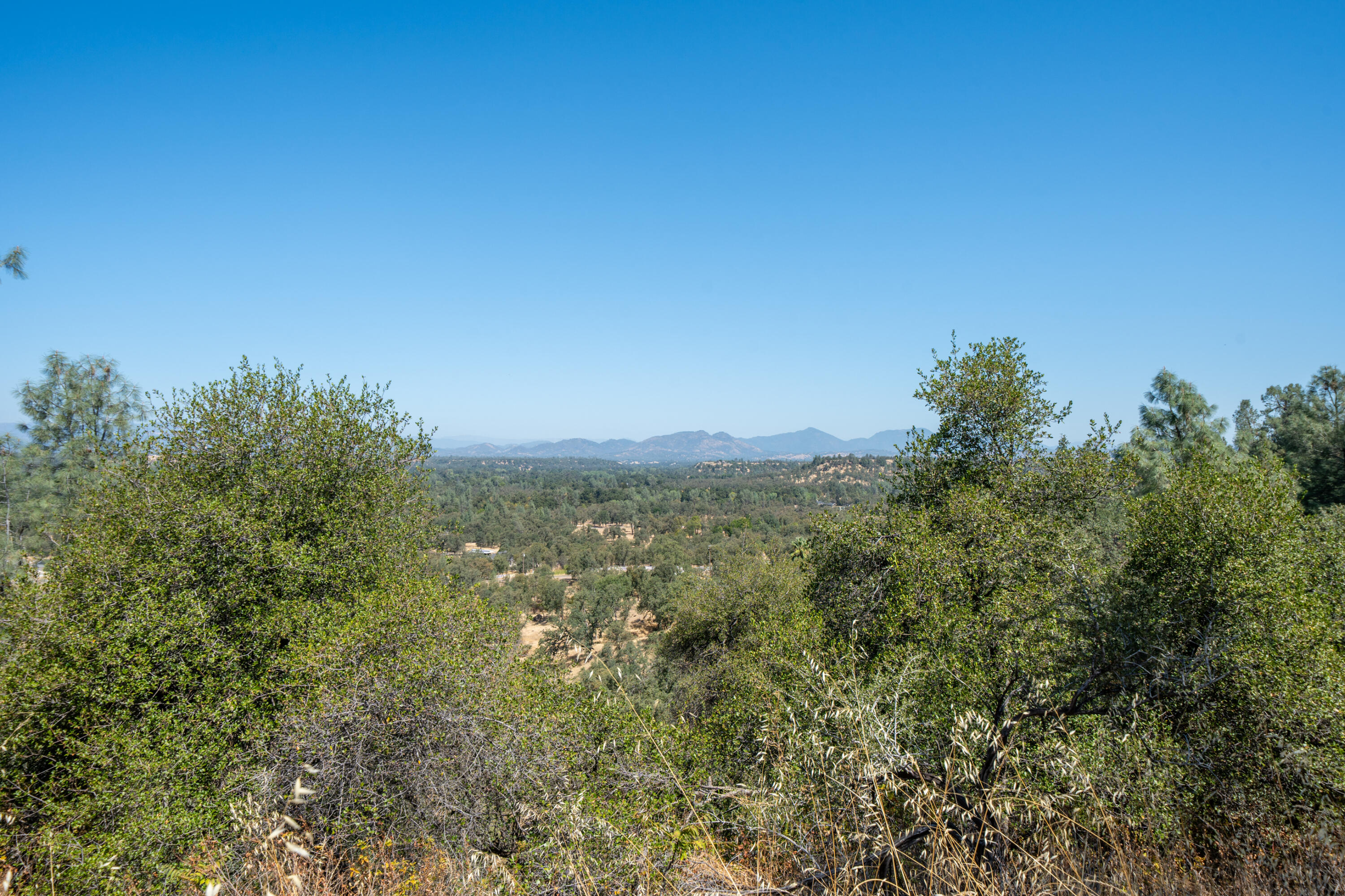 main property photo 92
