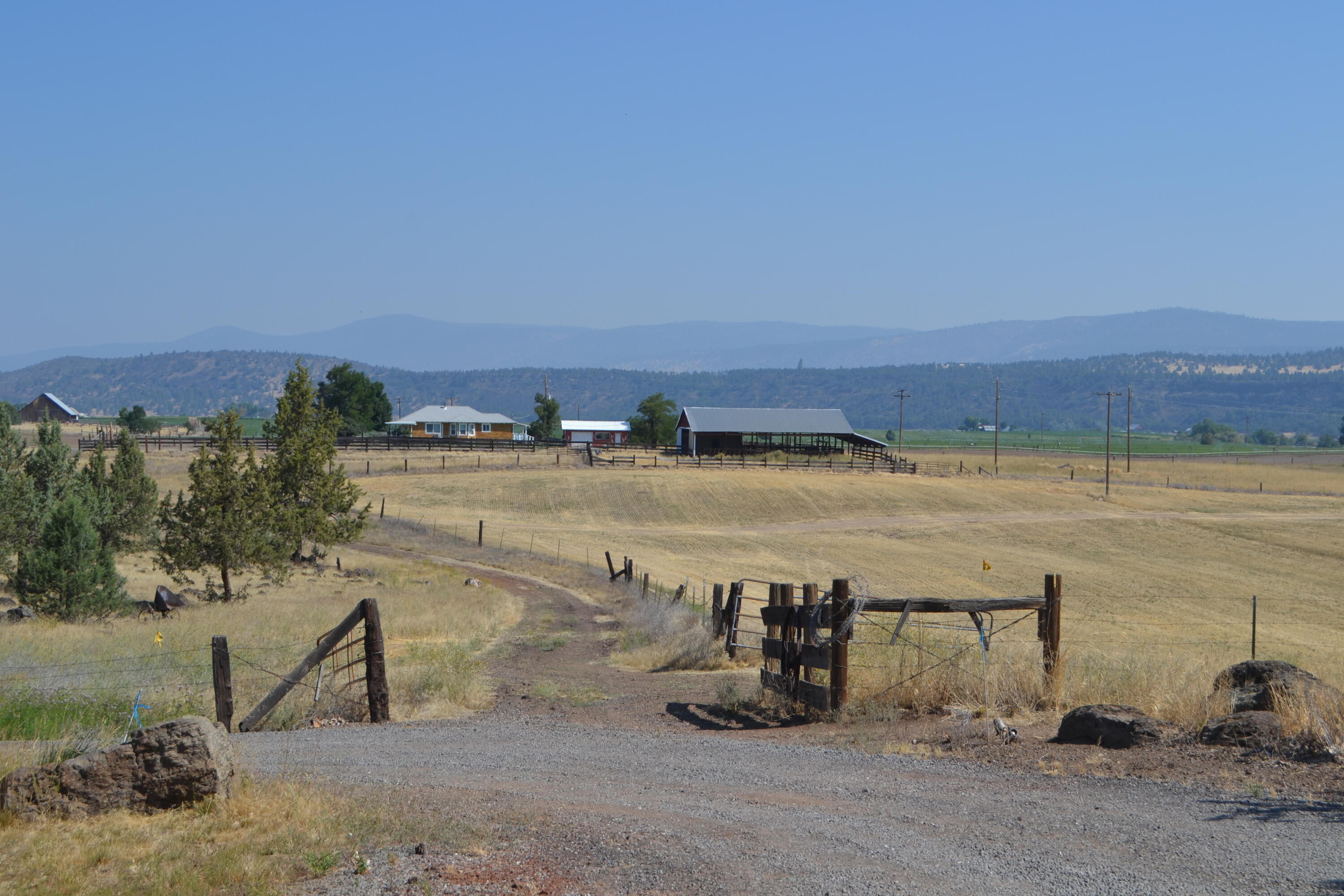 main property photo 42